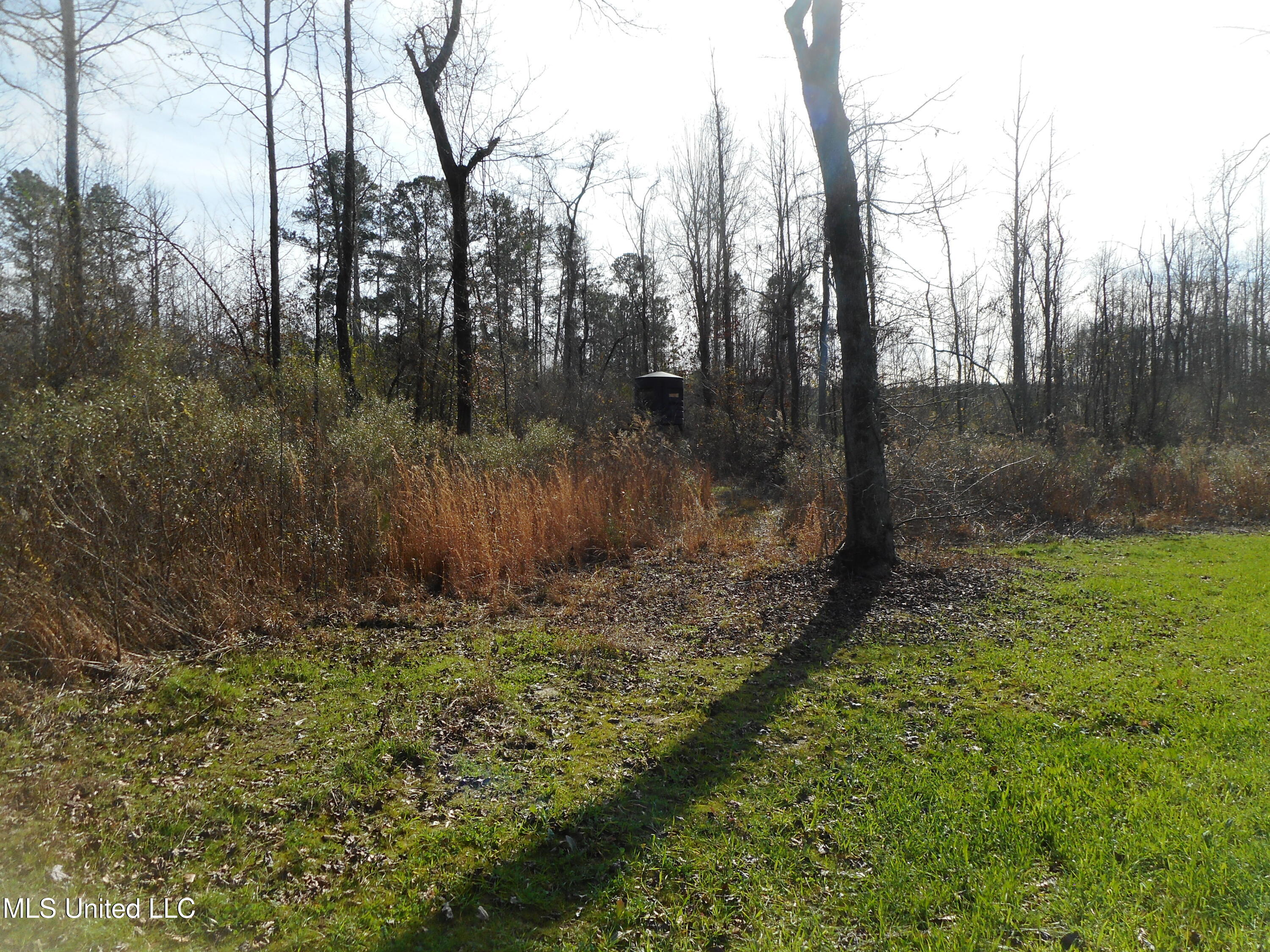 593 Rocky Hill Road Pickens, MS 39146 - Photo 91 of 102 DSCN2019