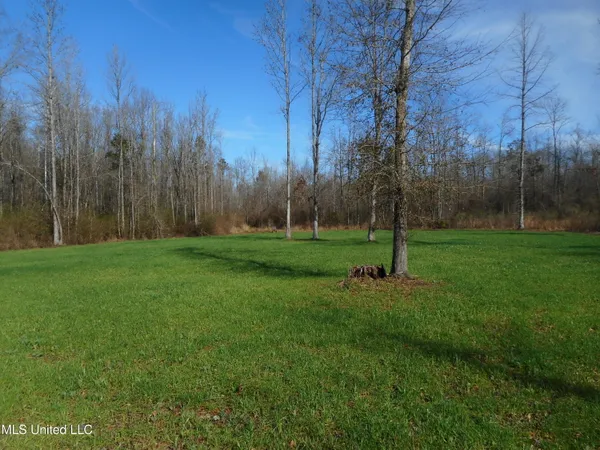 $896,000 | 593 Rocky Hill Road, Pickens, MS 39146