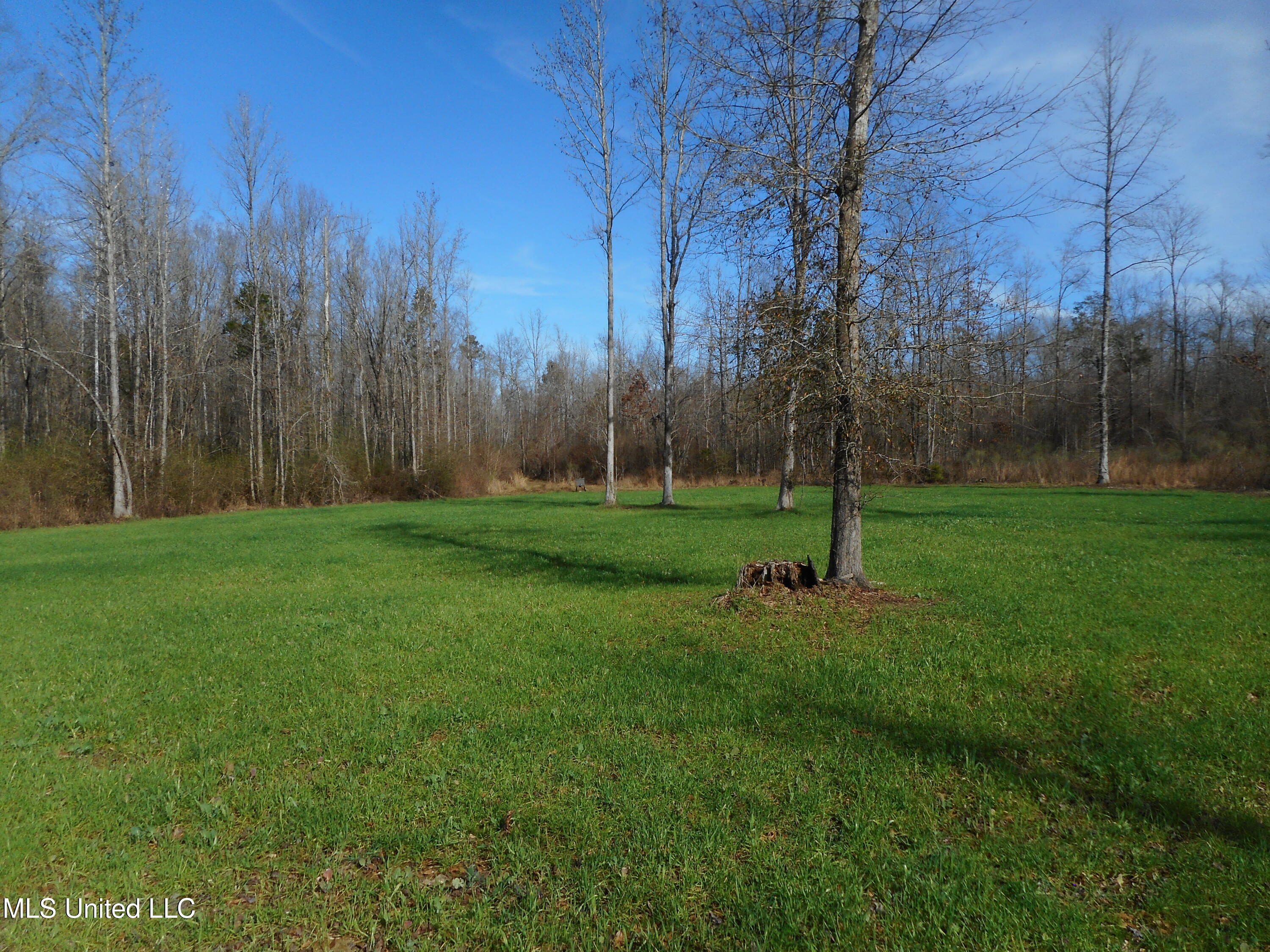 593 Rocky Hill Road Pickens, MS 39146 - Photo 92 of 102 DSCN2020