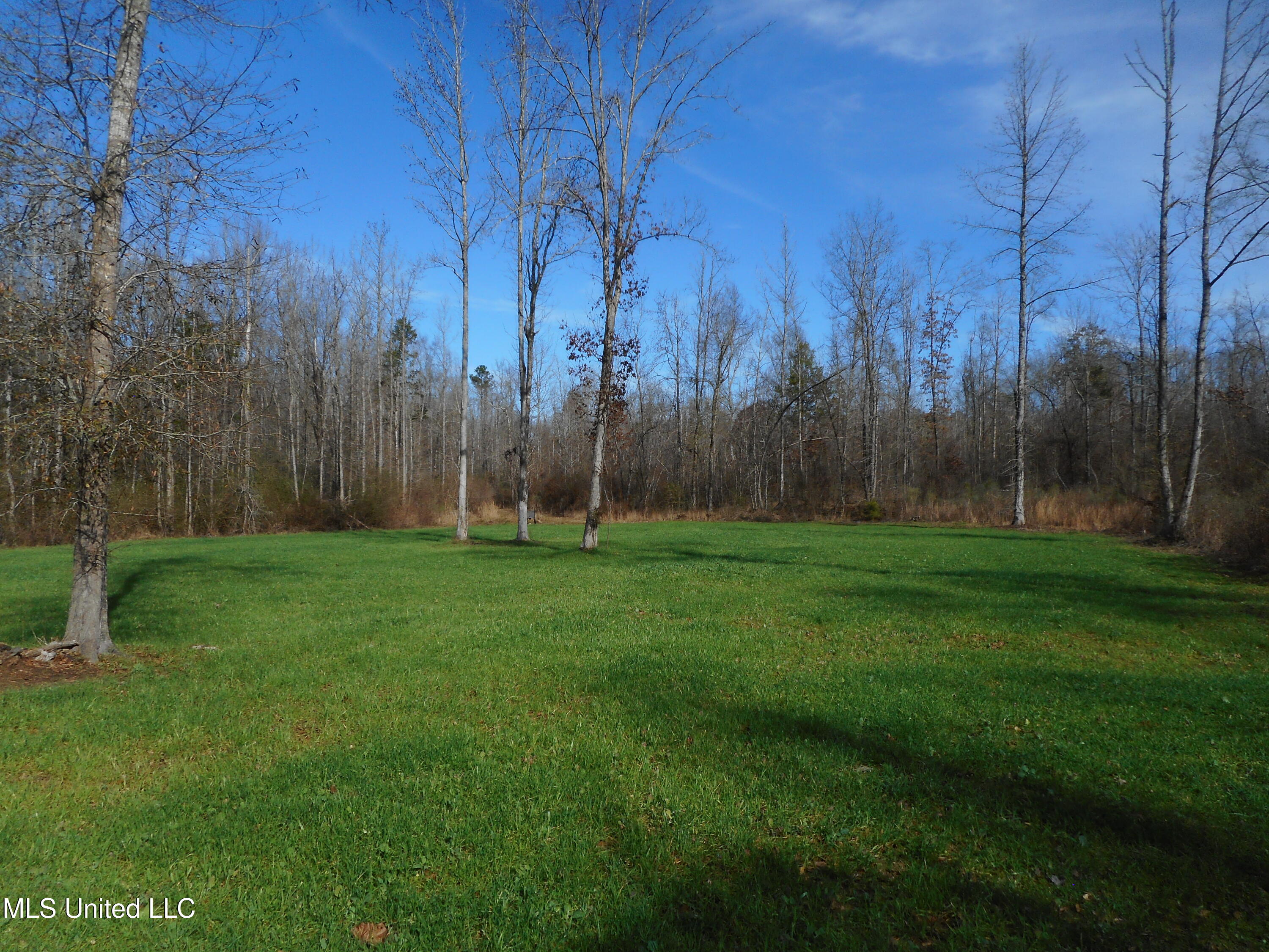 593 Rocky Hill Road Pickens, MS 39146 - Photo 93 of 102 DSCN2021