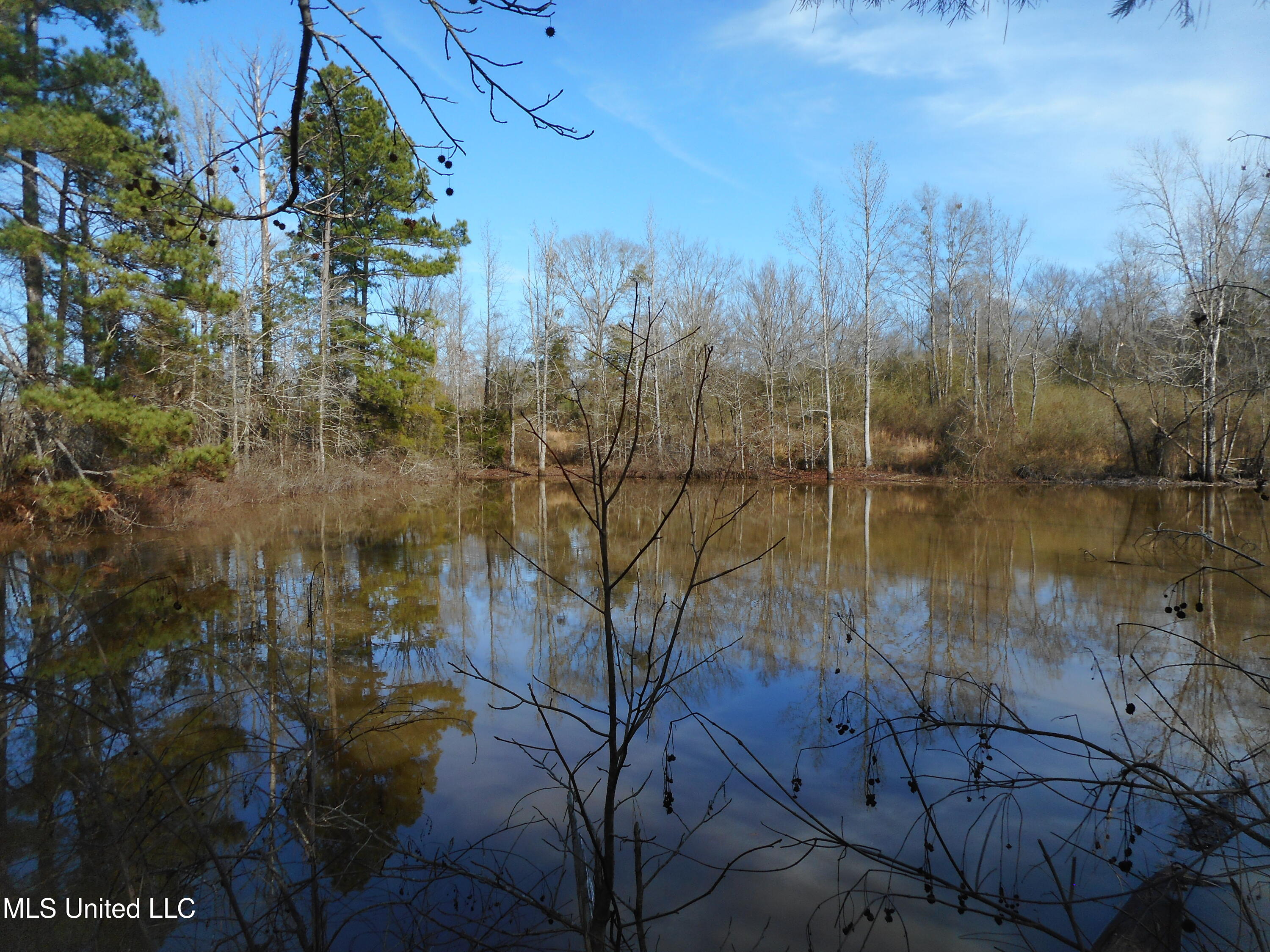 593 Rocky Hill Road Pickens, MS 39146 - Photo 94 of 102 DSCN2022