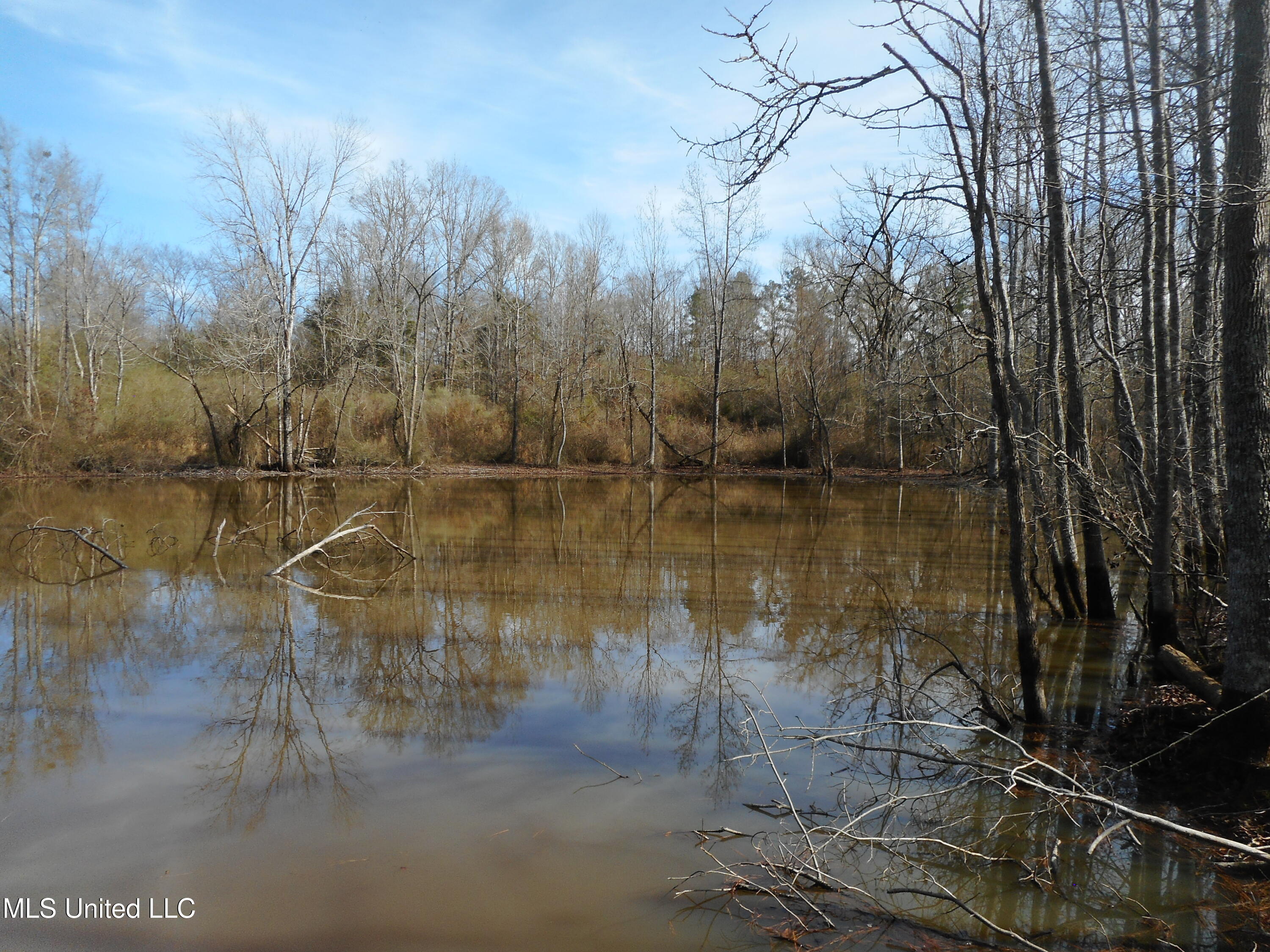 593 Rocky Hill Road Pickens, MS 39146 - Photo 95 of 102 DSCN2024
