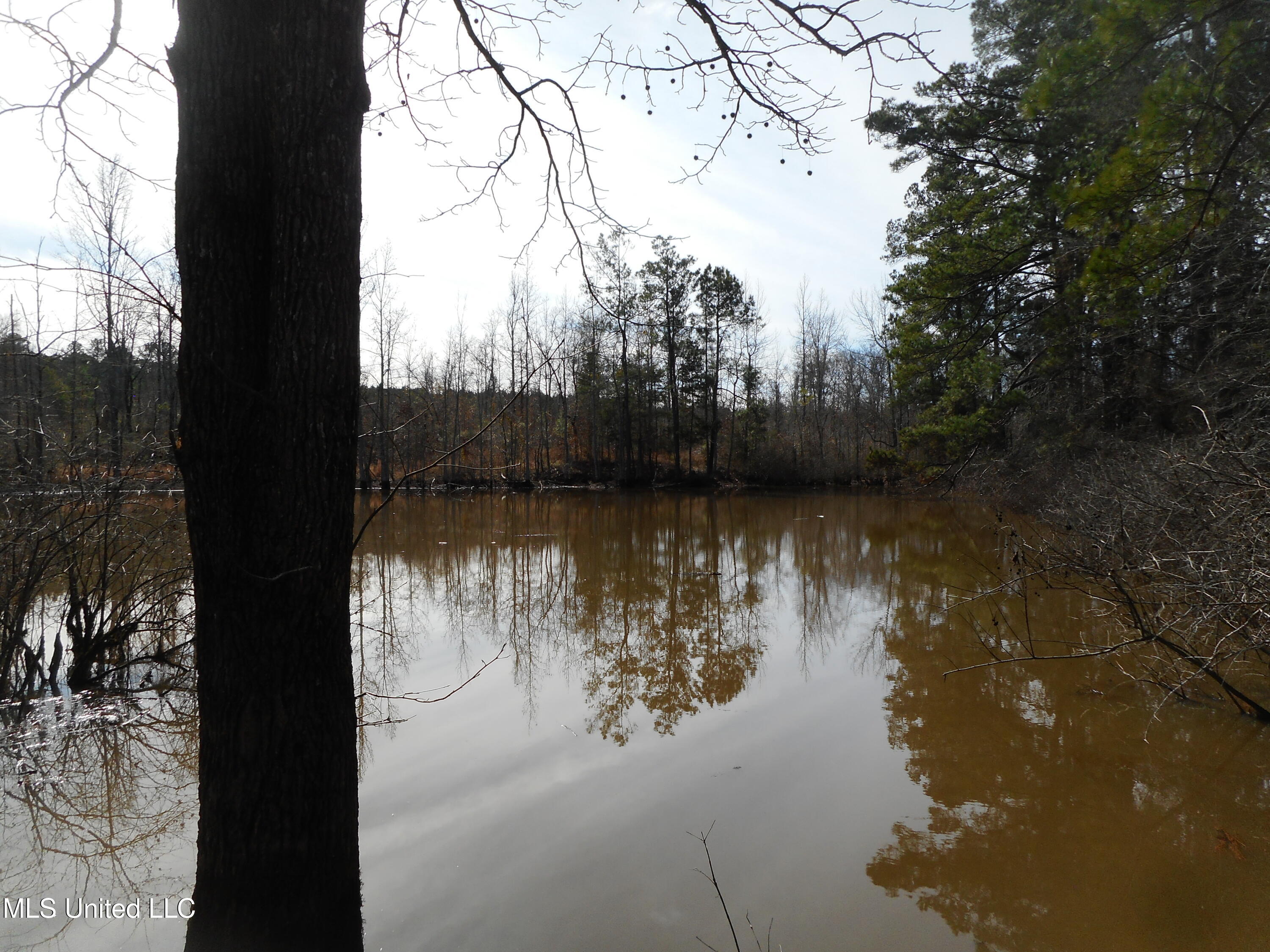593 Rocky Hill Road Pickens, MS 39146 - Photo 97 of 102 DSCN2027
