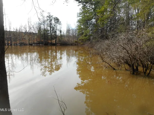 $896,000 | 593 Rocky Hill Road, Pickens, MS 39146