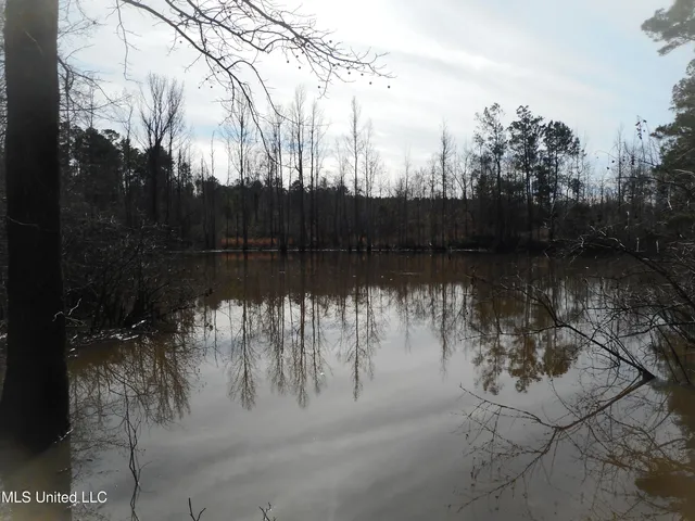 $896,000 | 593 Rocky Hill Road, Pickens, MS 39146