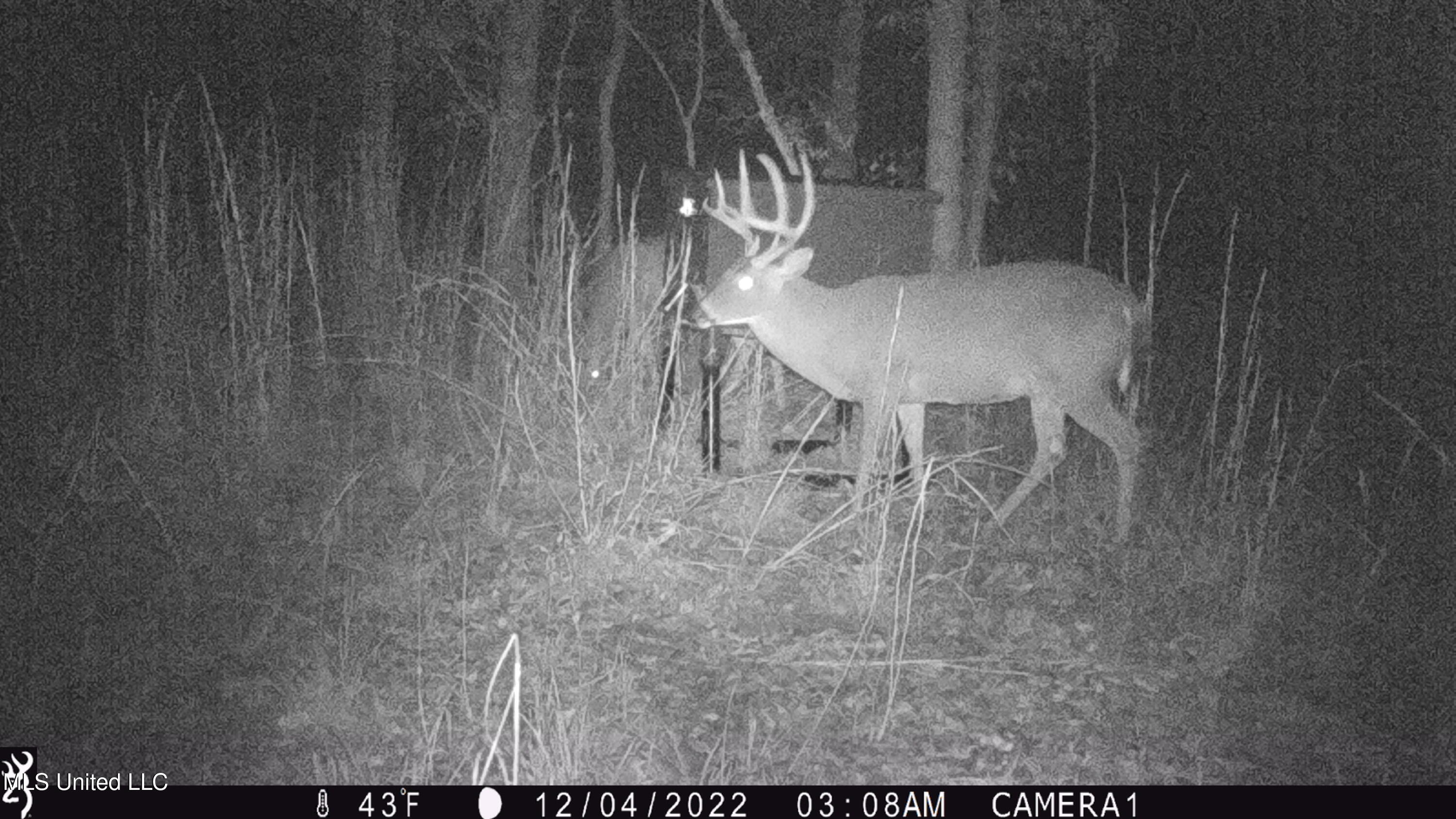 593 Rocky Hill Road Pickens, MS 39146 - Photo 10 of 102 IMG_0149