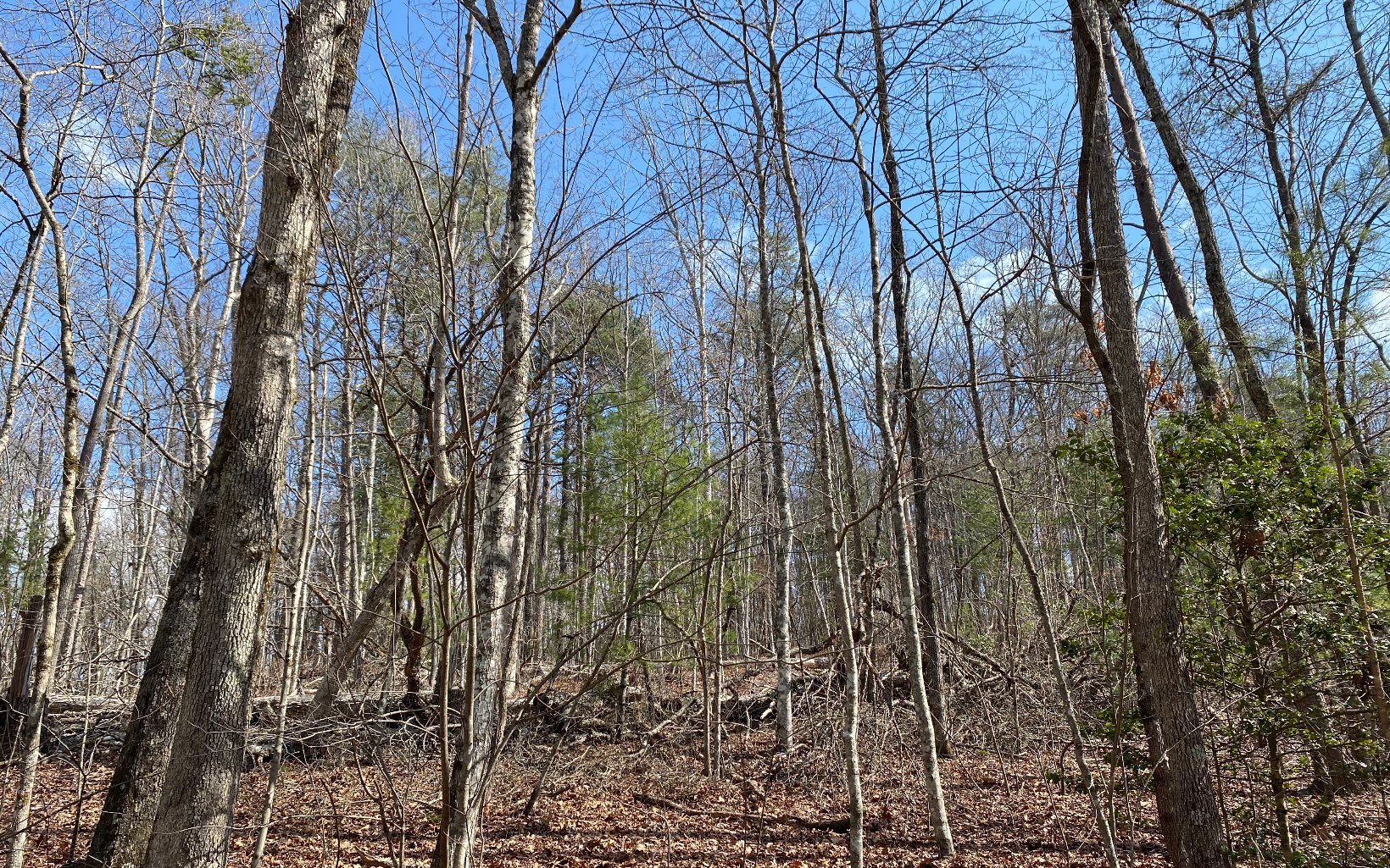 Lot3 Cohutta Overlook Drive Blue Ridge, GA 30513 - Photo 2 of 6 Additional View