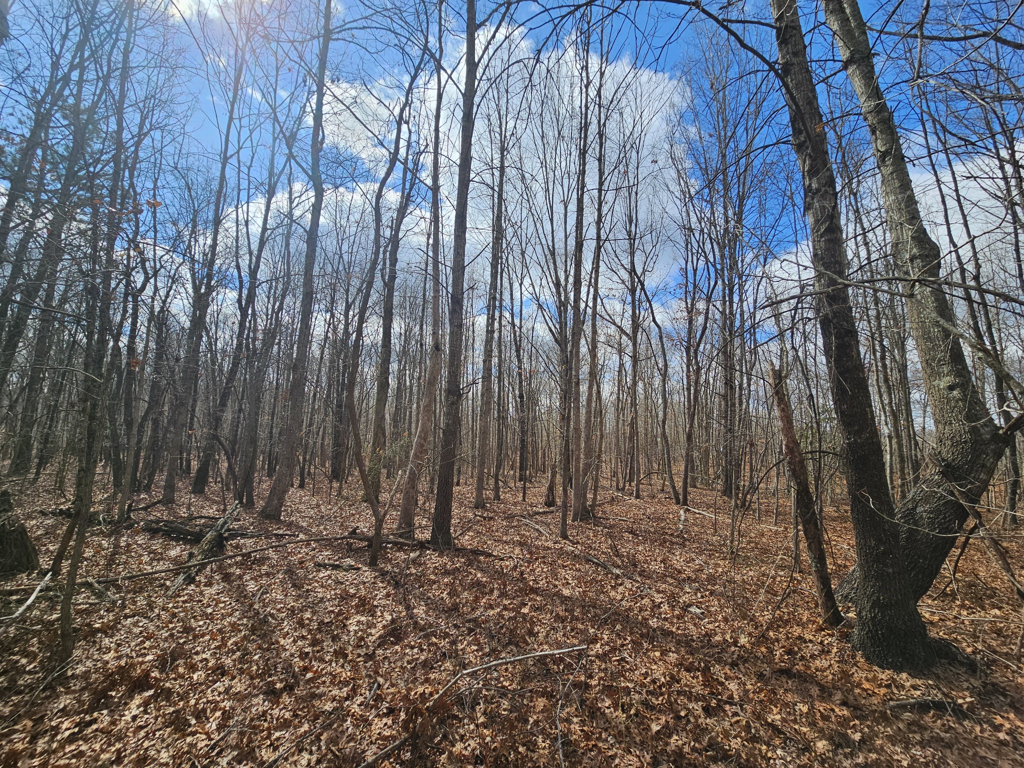 10 Griswold Road Altamont, TN 37301 - Photo 3 of 12 a view of wooden fence