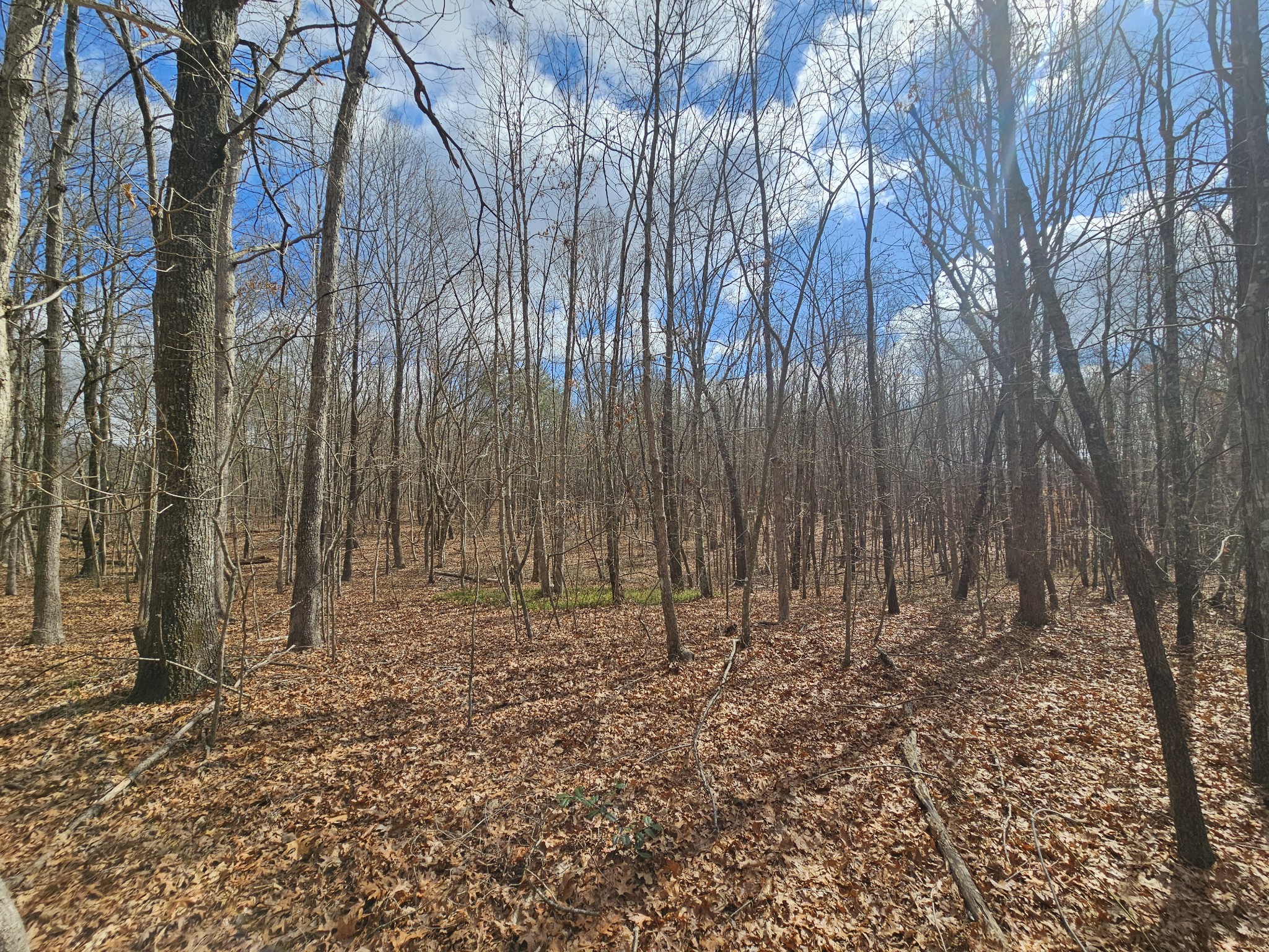 10 Griswold Road Altamont, TN 37301 - Photo 6 of 12 a view of wooden fence in a yard