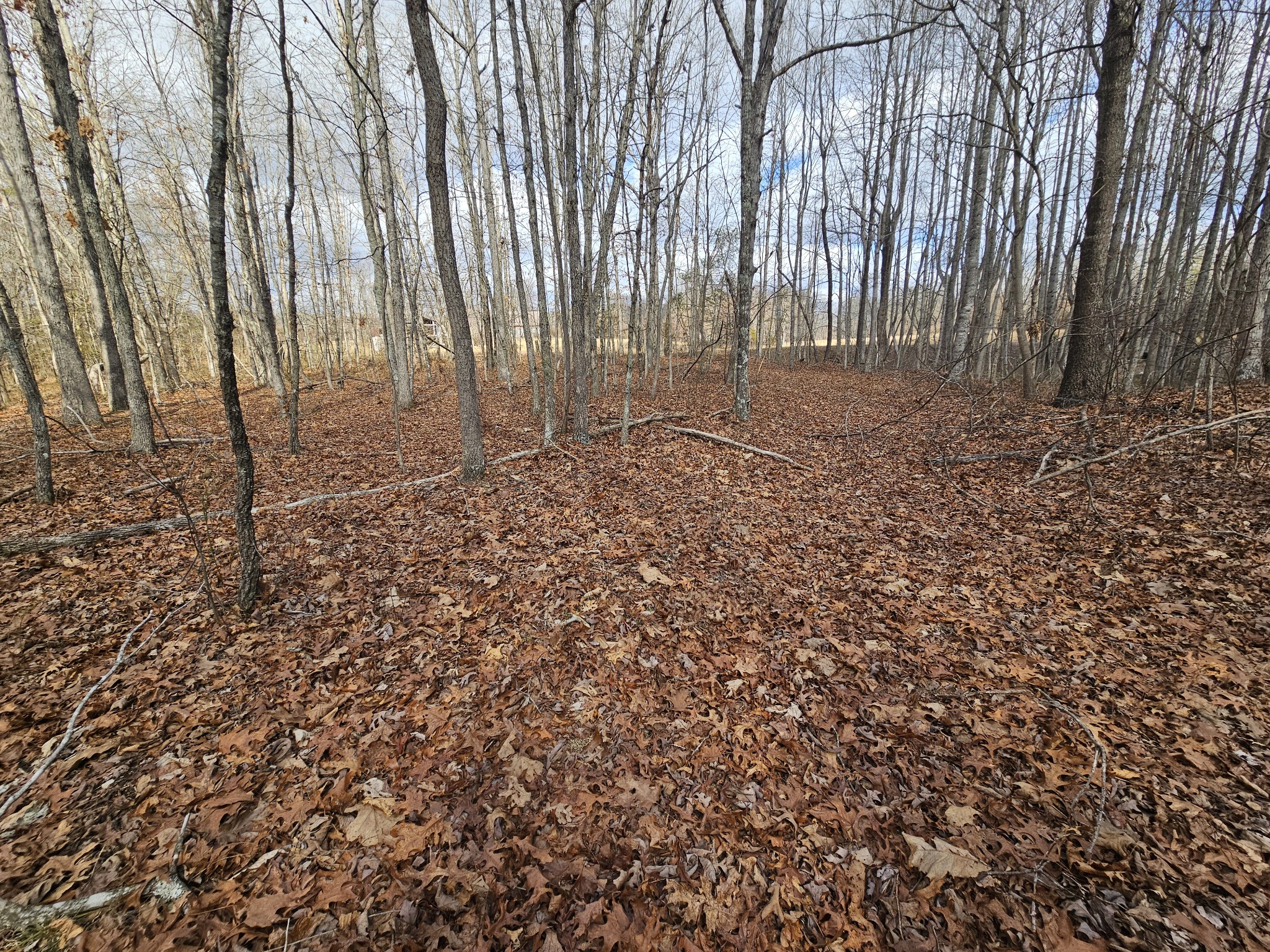 10 Griswold Road Altamont, TN 37301 - Photo 9 of 12 a view of outdoor space with wooden fence