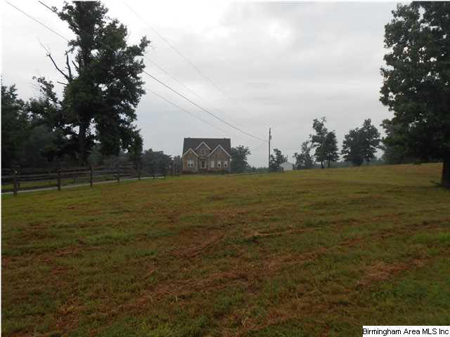 7015 Co Highway 24 Oneonta, AL 35121 - Photo 29 of 30
