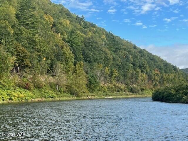 Lot 1 Warren Road Hancock, NY 13783 - Photo 10 of 29