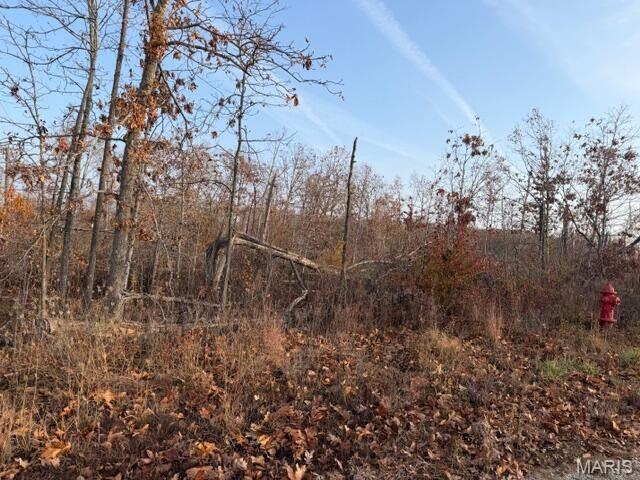 0 Fox Circle Drive Rd Mountain View Mountain View, MO 65548 - Photo 2 of 8
