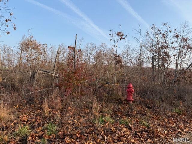 0 Fox Circle Drive Rd Mountain View Mountain View, MO 65548 - Photo 3 of 8