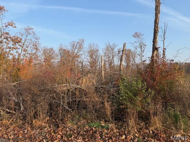 0 Fox Circle Drive Rd Mountain View Mountain View, MO 65548 - Photo 5 of 8