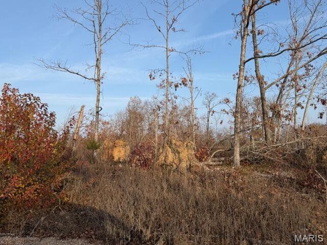 0 Fox Circle Drive Rd Mountain View Mountain View, MO 65548 - Photo 6 of 8