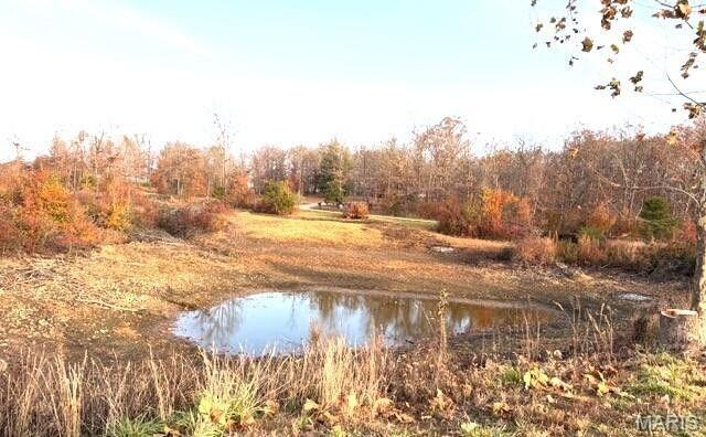 0 Fox Circle Drive Rd Mountain View Mountain View, MO 65548 - Photo 8 of 8