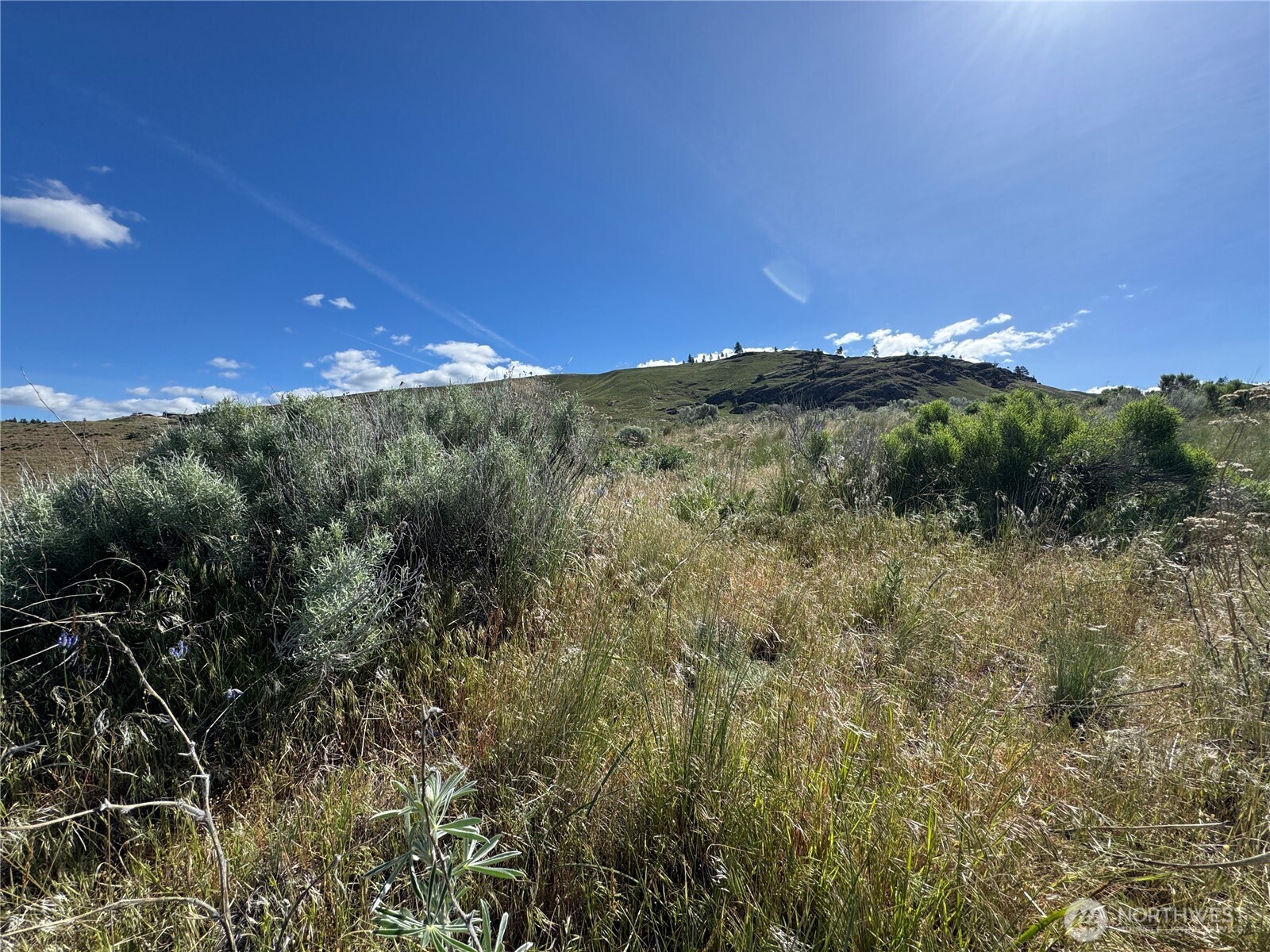 35 Sunset Ridge Road Oroville, WA 98844 - Photo 12 of 18 a view of a yard
