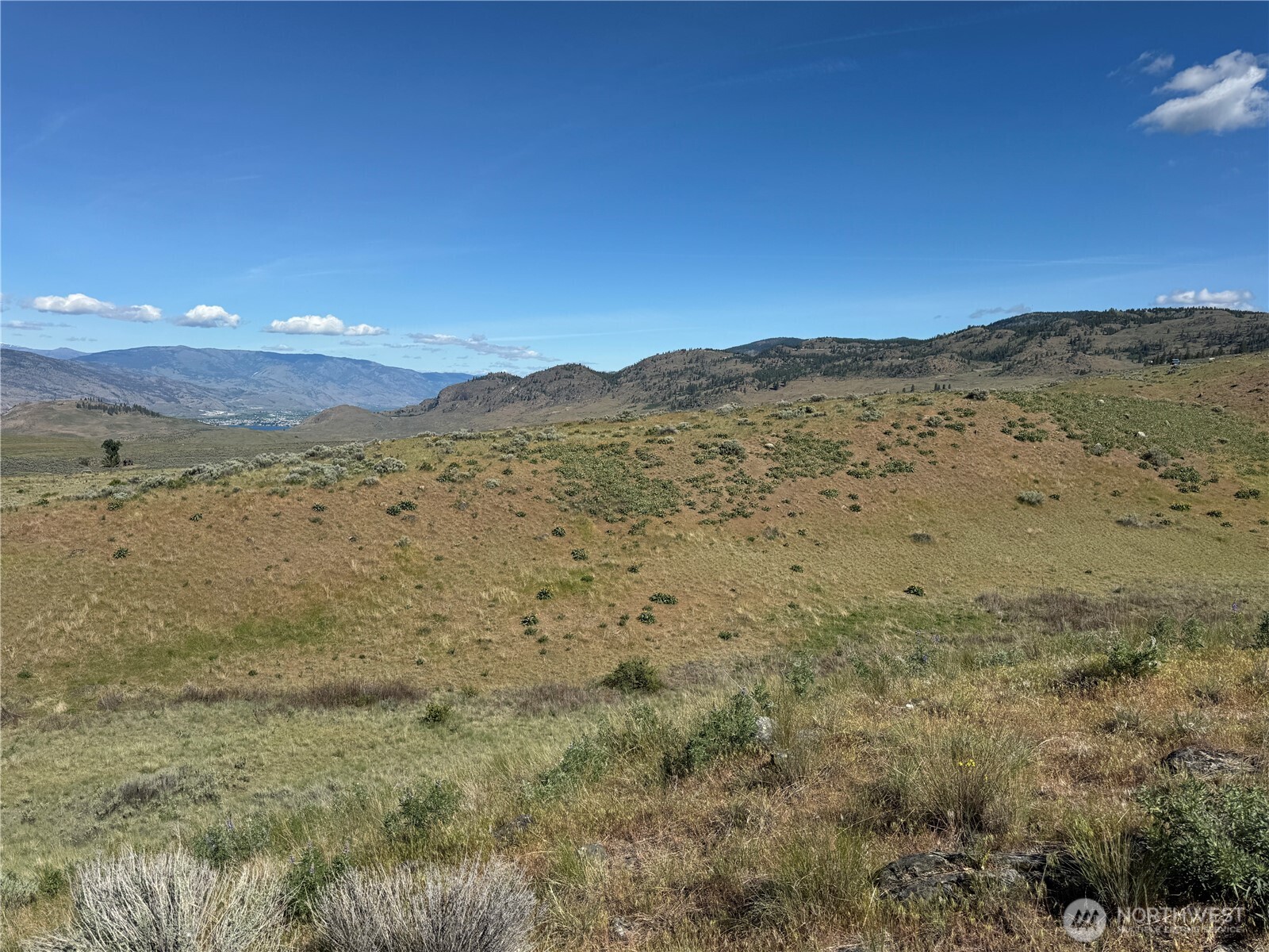 35 Sunset Ridge Road Oroville, WA 98844 - Photo 13 of 18 a view of a yard with a mountain in the background