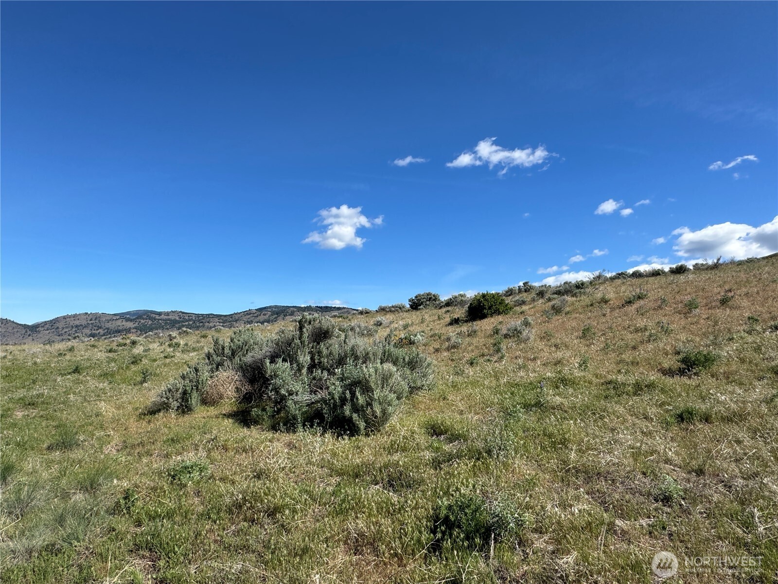35 Sunset Ridge Road Oroville, WA 98844 - Photo 14 of 18 a view of a sky from a yard