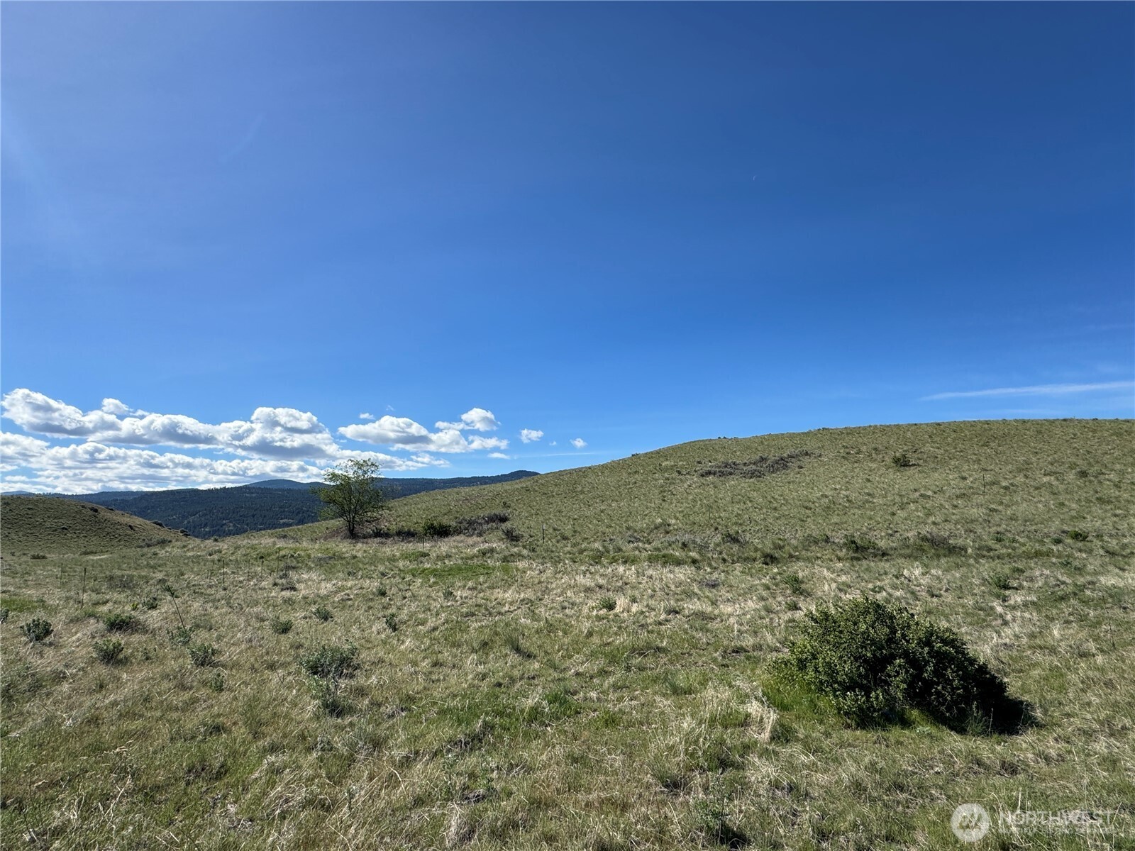 35 Sunset Ridge Road Oroville, WA 98844 - Photo 4 of 18 a view of a water with a mountain in the background