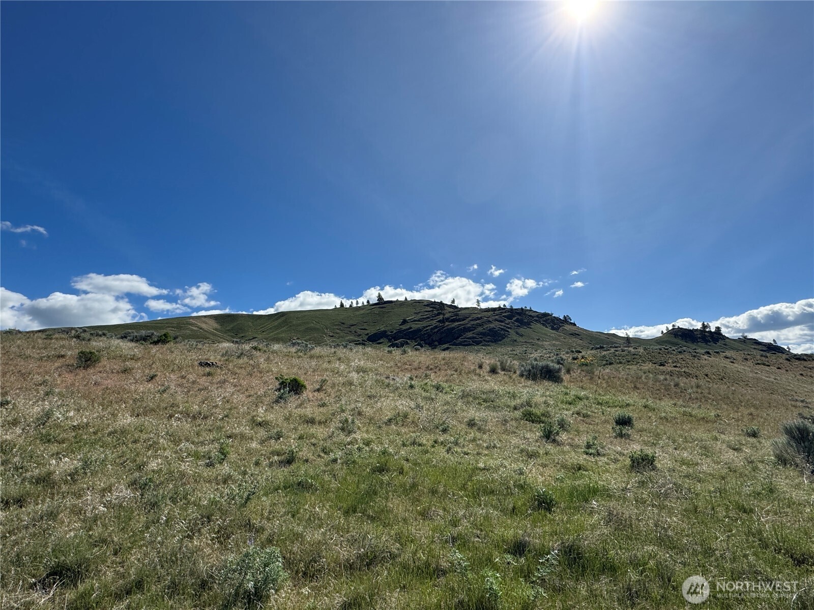 35 Sunset Ridge Road Oroville, WA 98844 - Photo 6 of 18 a view of a dry yard with a mountain