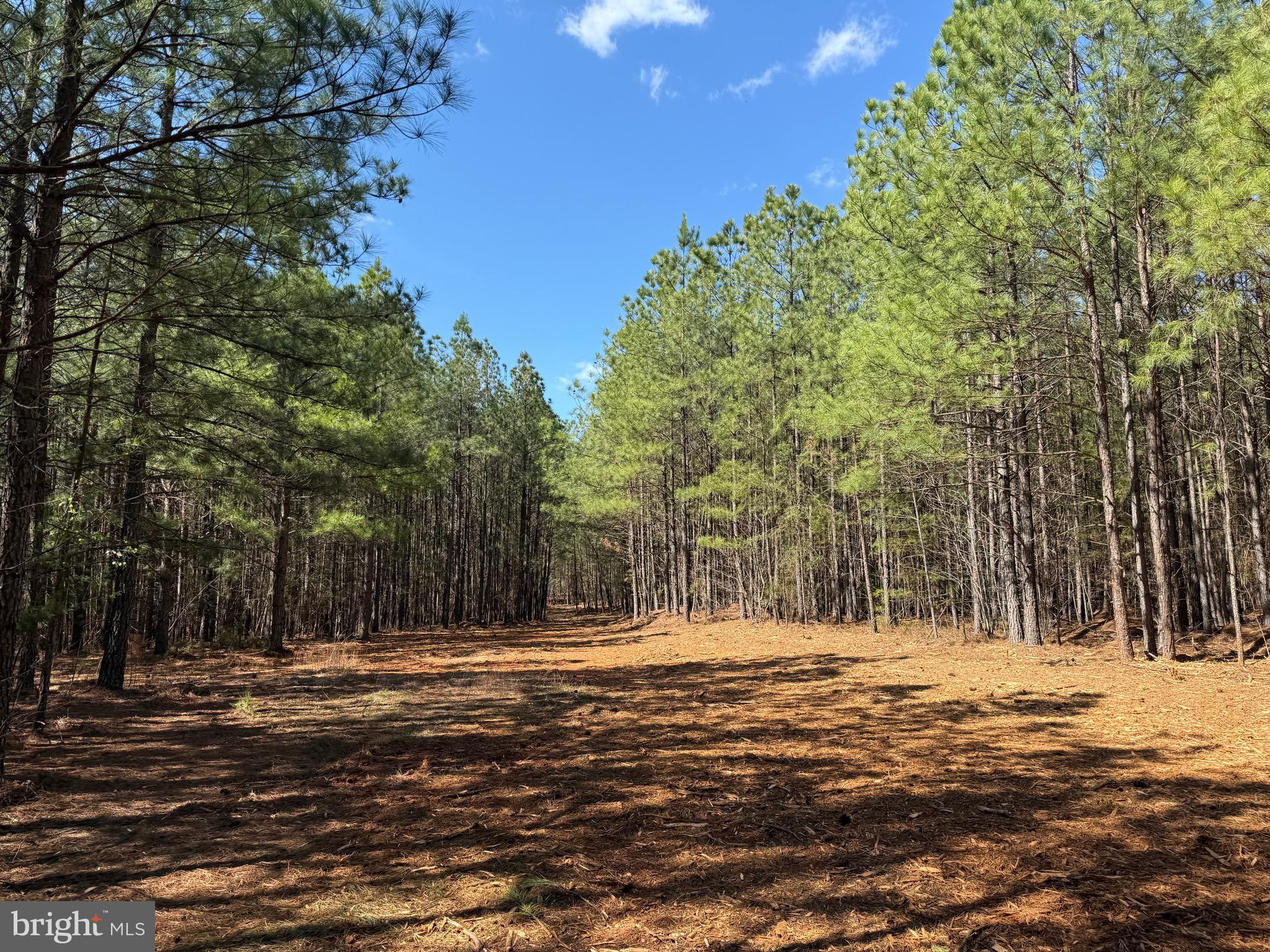 Lot D Mountain Cut Road Appomattox, VA 24522 - Photo 20 of 45
