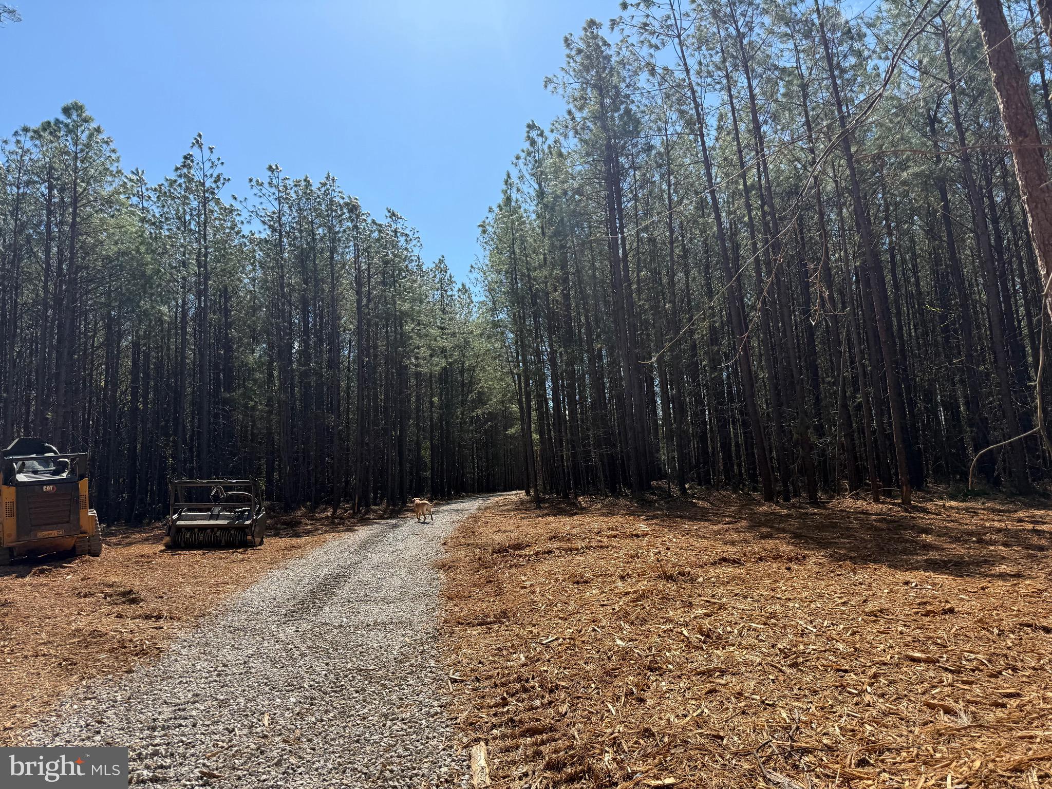 Lot D Mountain Cut Road Appomattox, VA 24522 - Photo 2 of 45