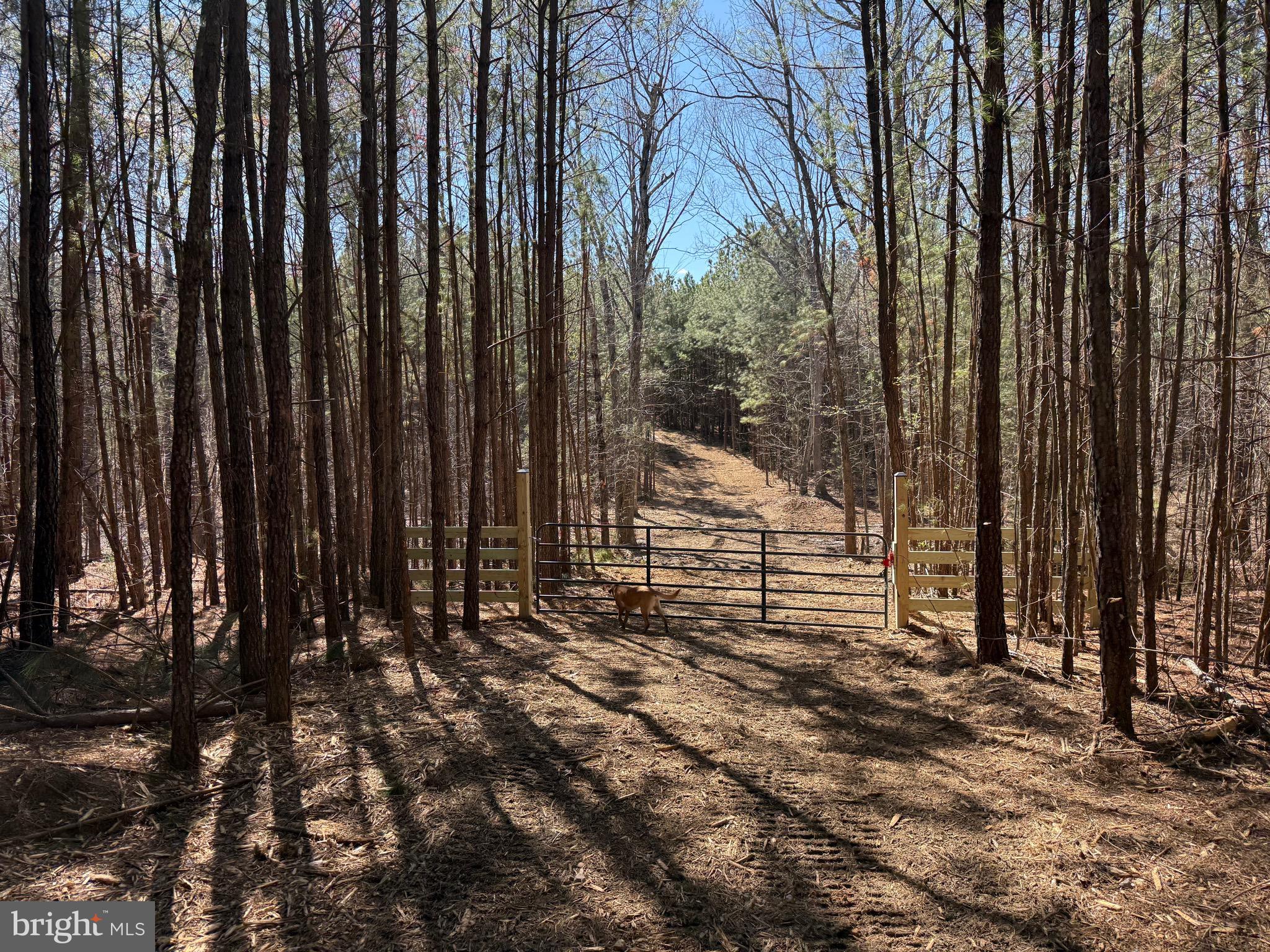 Lot D Mountain Cut Road Appomattox, VA 24522 - Photo 24 of 45