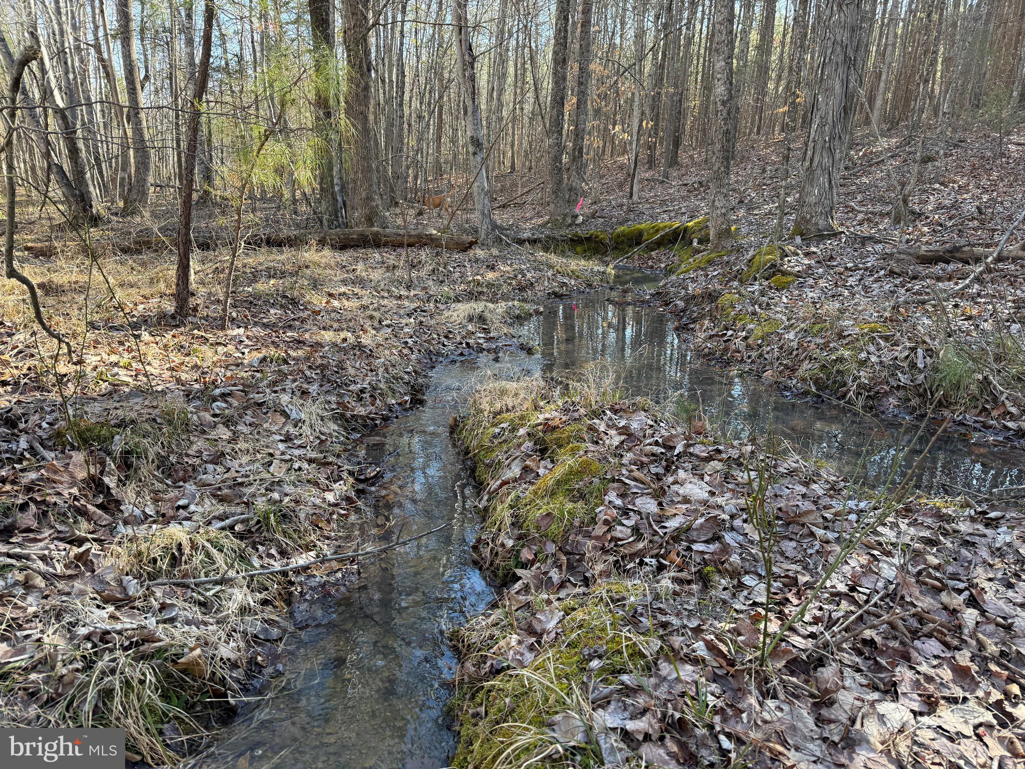 Lot D Mountain Cut Road Appomattox, VA 24522 - Photo 29 of 45