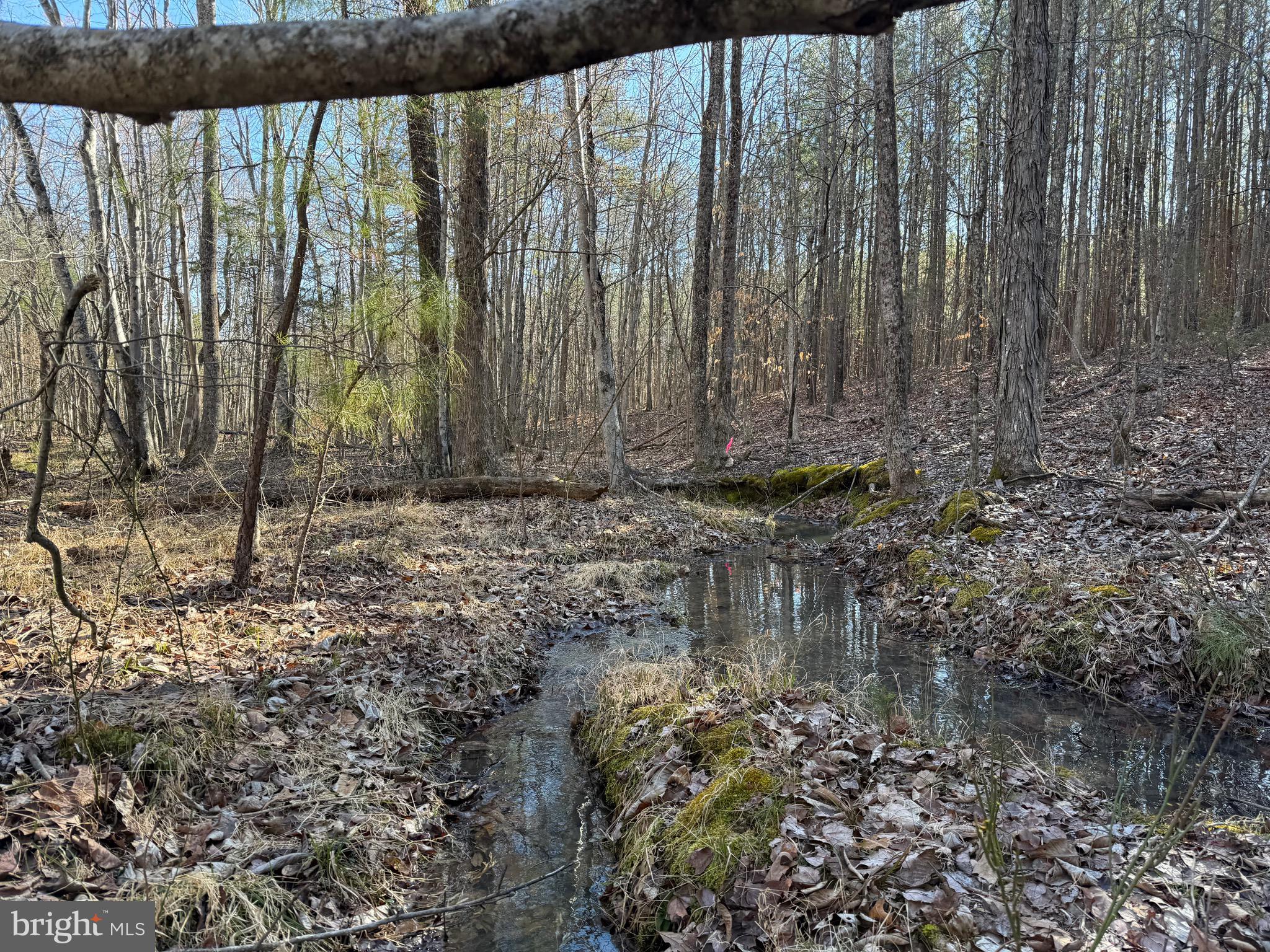 Lot D Mountain Cut Road Appomattox, VA 24522 - Photo 30 of 45