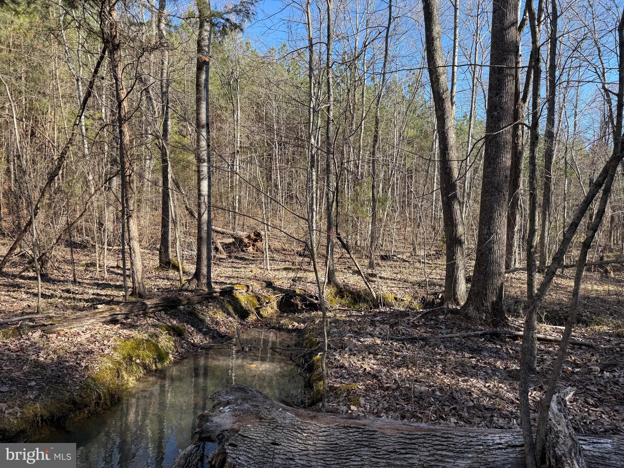 Lot D Mountain Cut Road Appomattox, VA 24522 - Photo 31 of 45