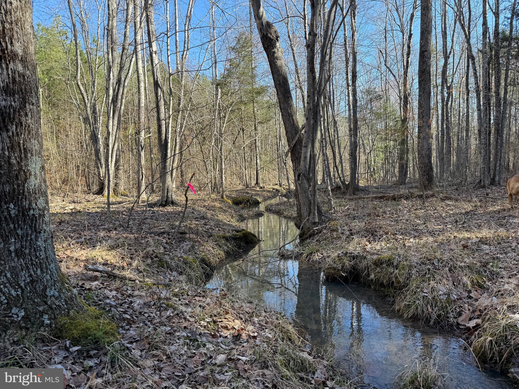 Lot D Mountain Cut Road Appomattox, VA 24522 - Photo 35 of 45