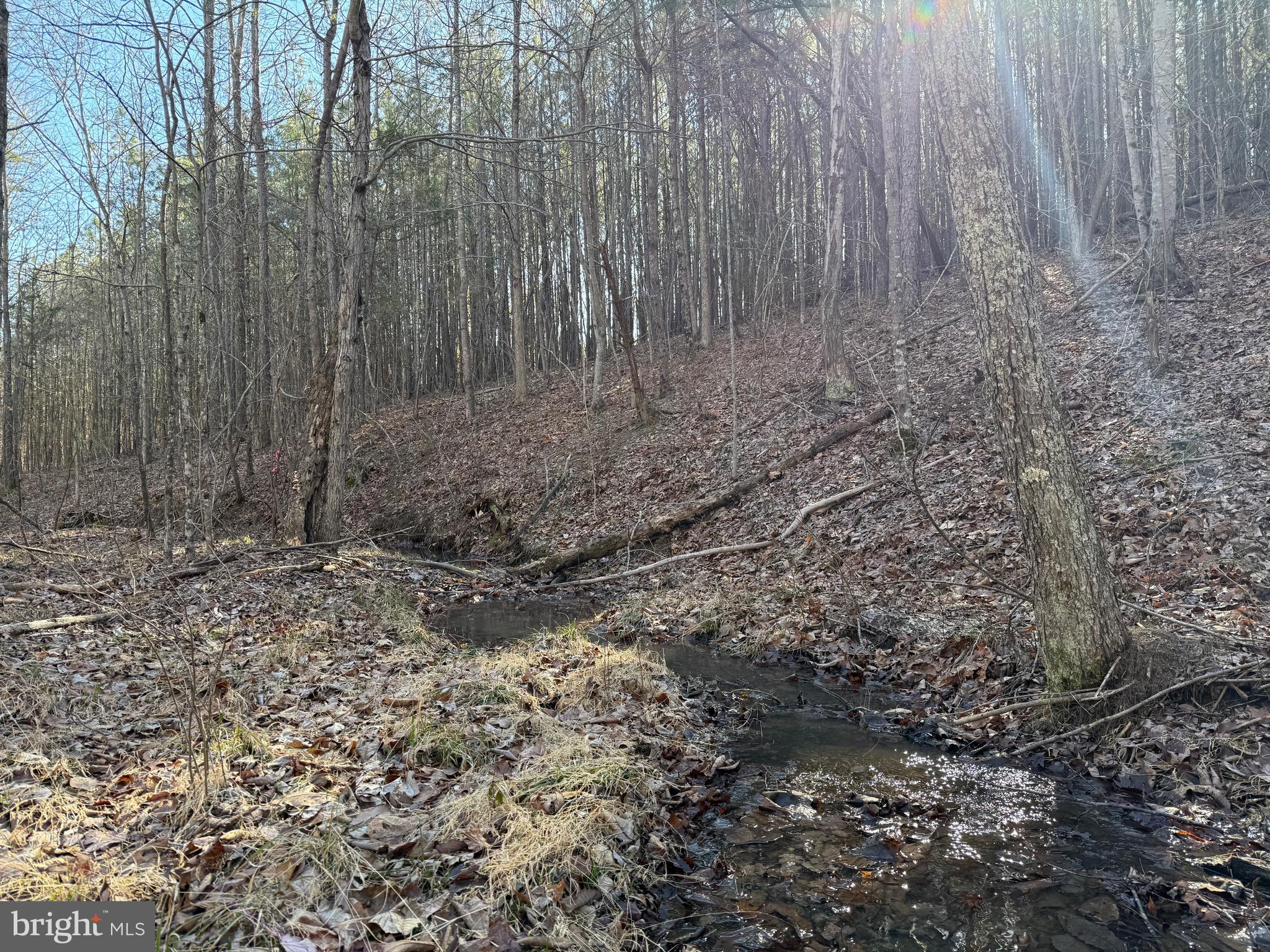 Lot D Mountain Cut Road Appomattox, VA 24522 - Photo 36 of 45