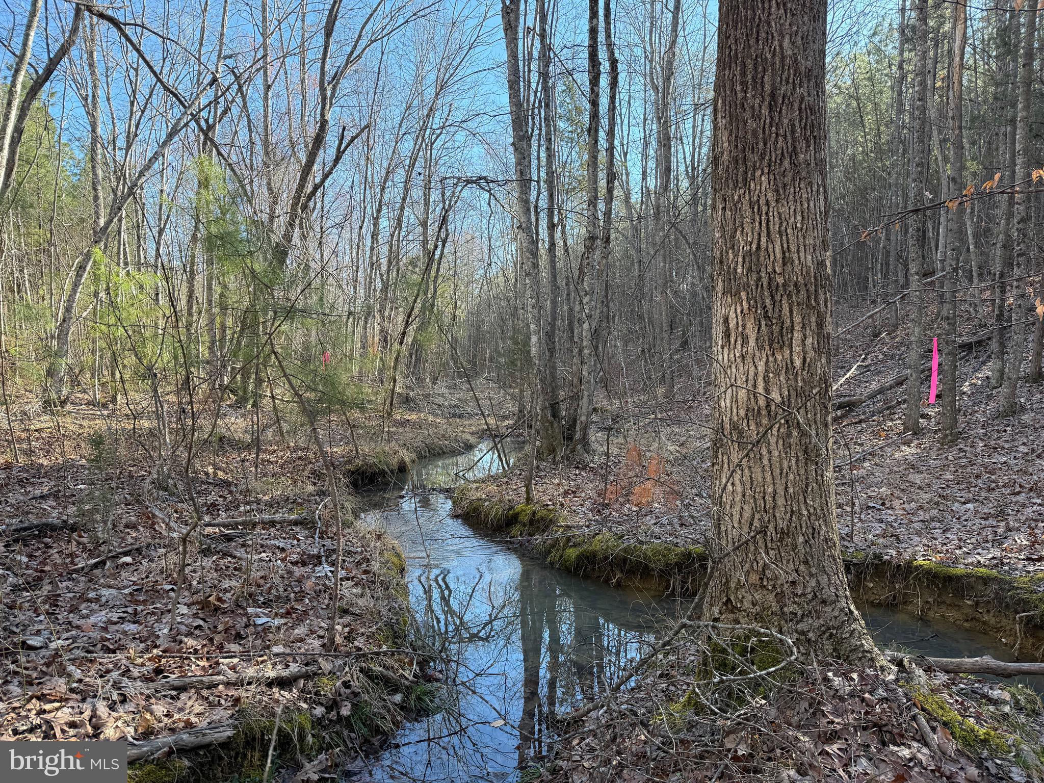 Lot D Mountain Cut Road Appomattox, VA 24522 - Photo 42 of 45