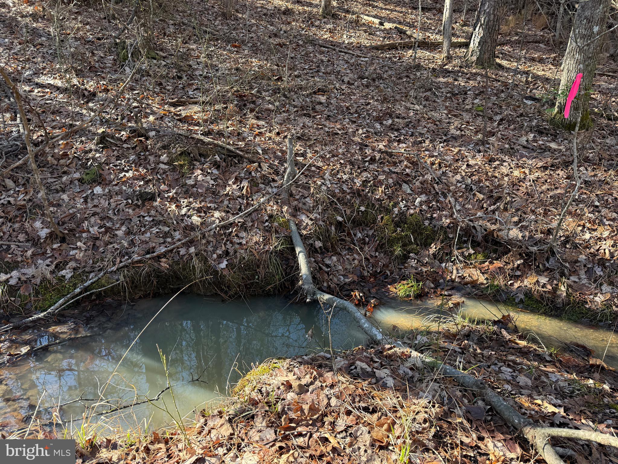 Lot D Mountain Cut Road Appomattox, VA 24522 - Photo 43 of 45