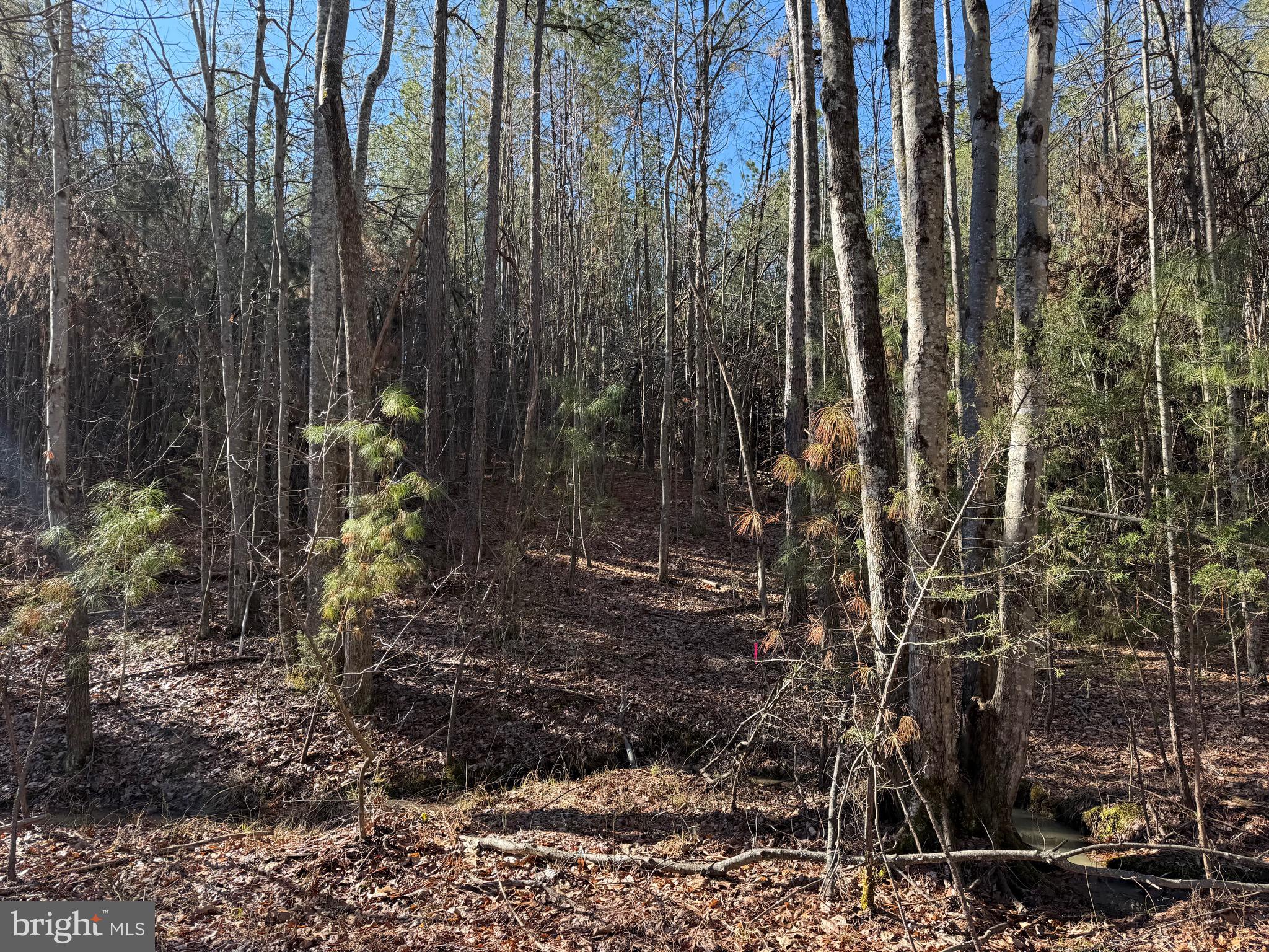 Lot D Mountain Cut Road Appomattox, VA 24522 - Photo 44 of 45