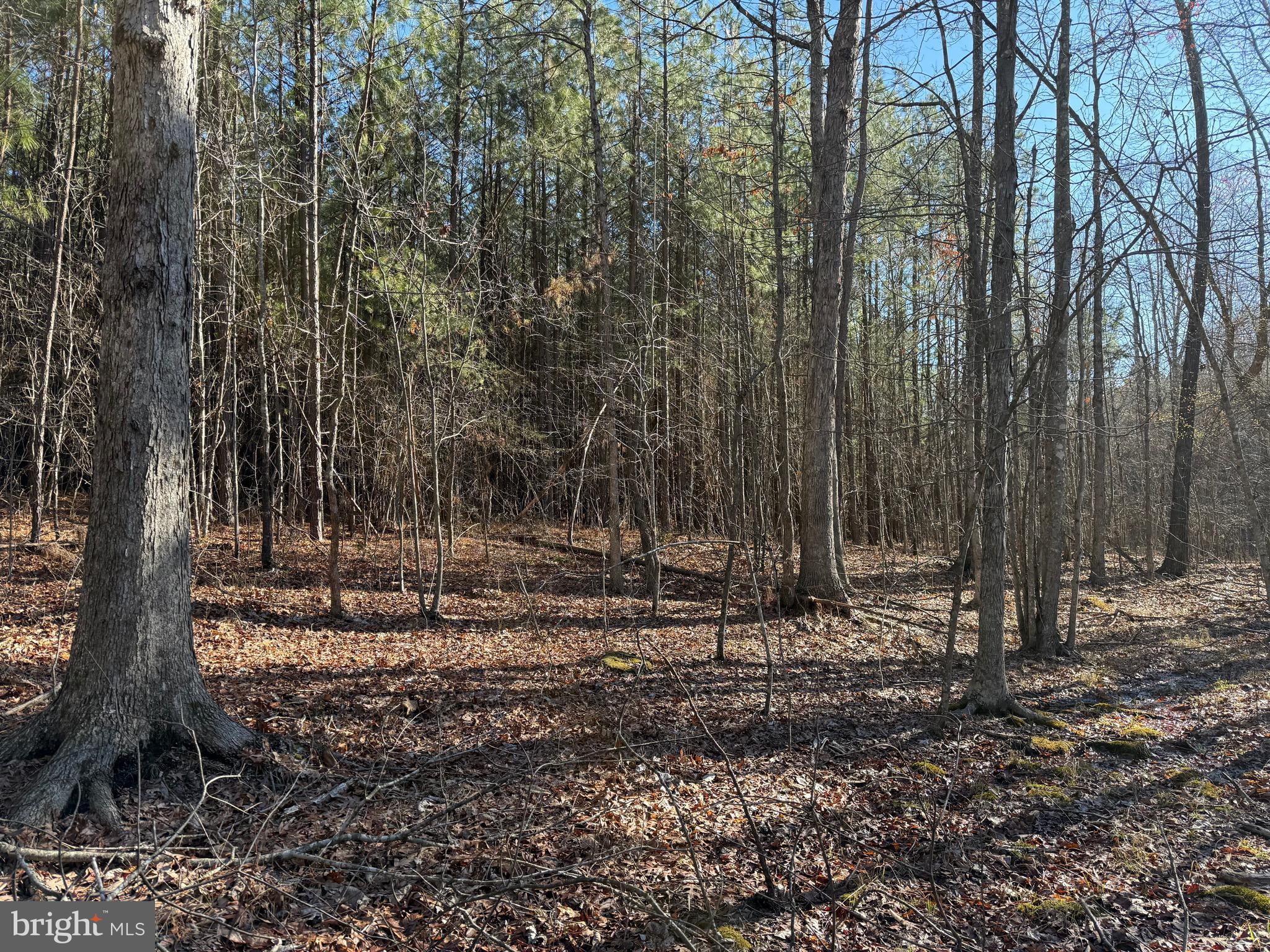 Lot D Mountain Cut Road Appomattox, VA 24522 - Photo 45 of 45