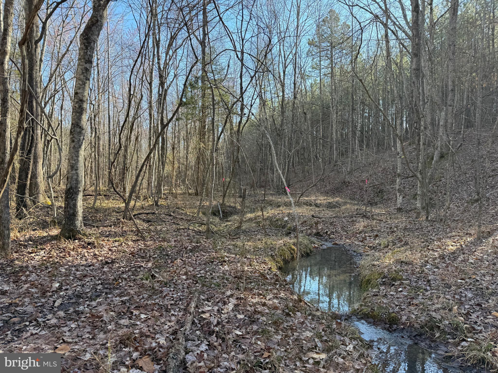 Lot D Mountain Cut Road Appomattox, VA 24522 - Photo 5 of 45