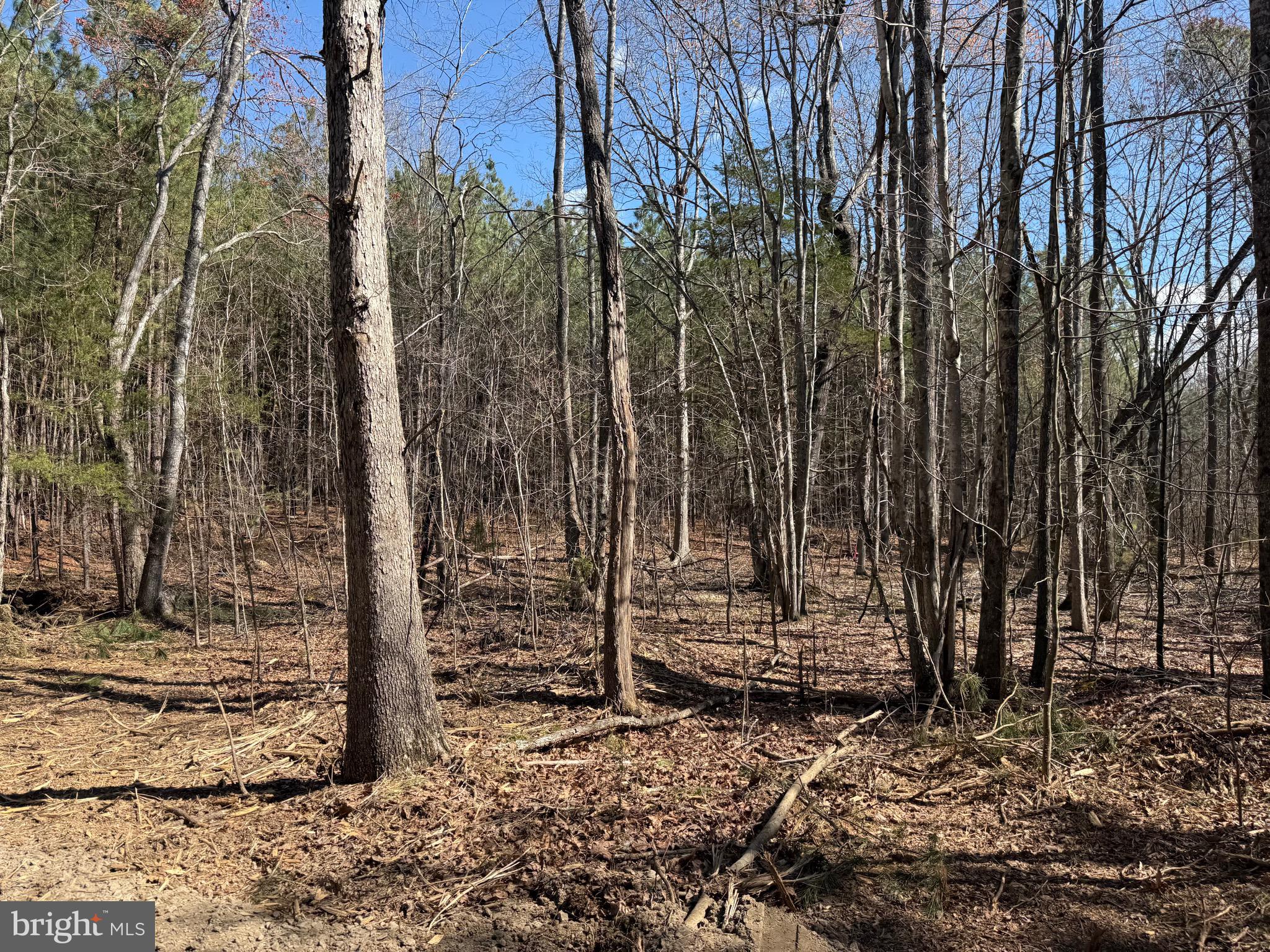 Lot D Mountain Cut Road Appomattox, VA 24522 - Photo 9 of 45