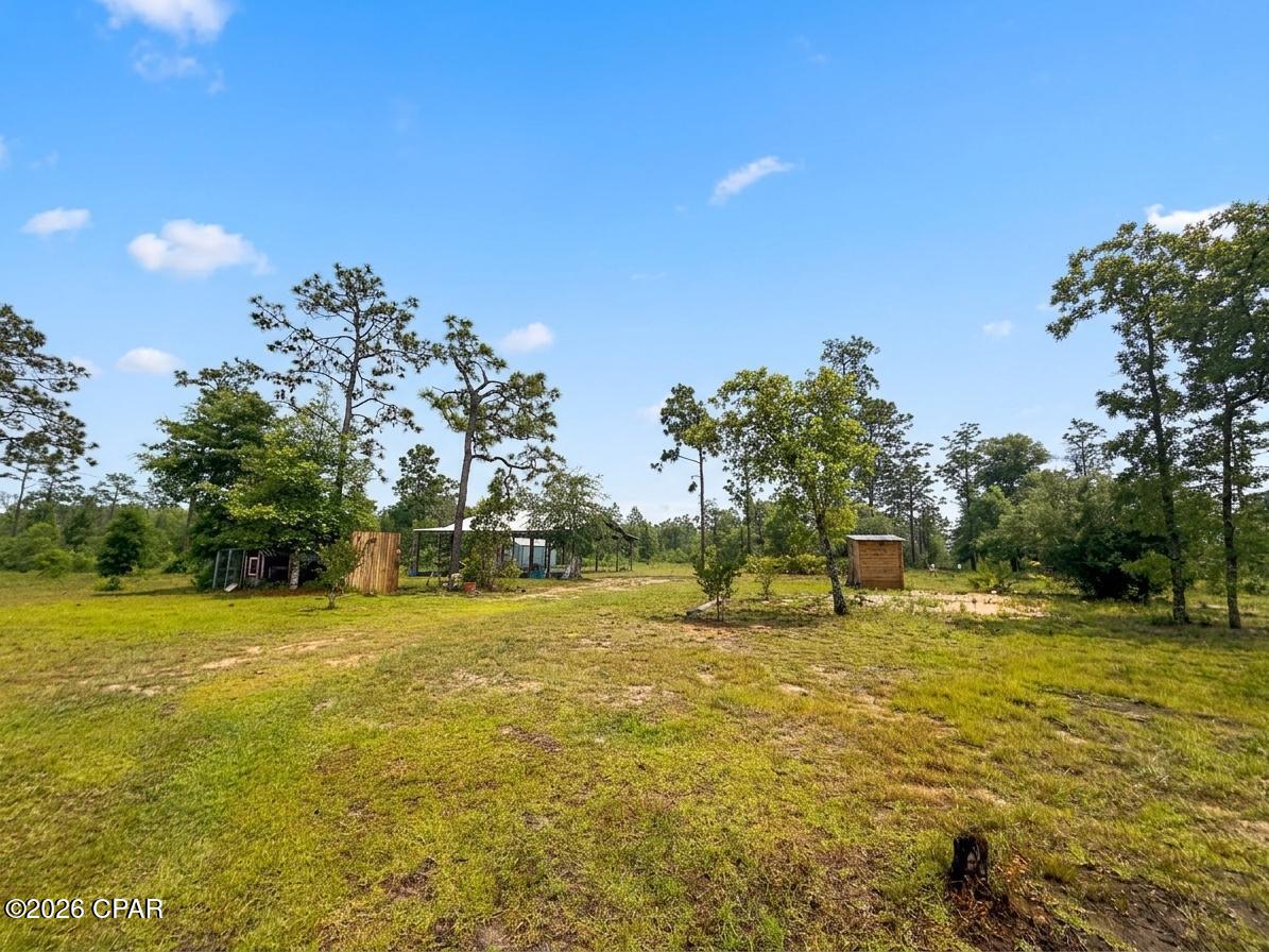 268 Horse Farm Road Marianna, FL 32448 - Photo 12 of 21