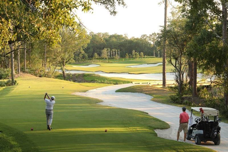 5822 Brandon Run Bradenton, FL 34211 - Photo 31 of 34 a view of a park