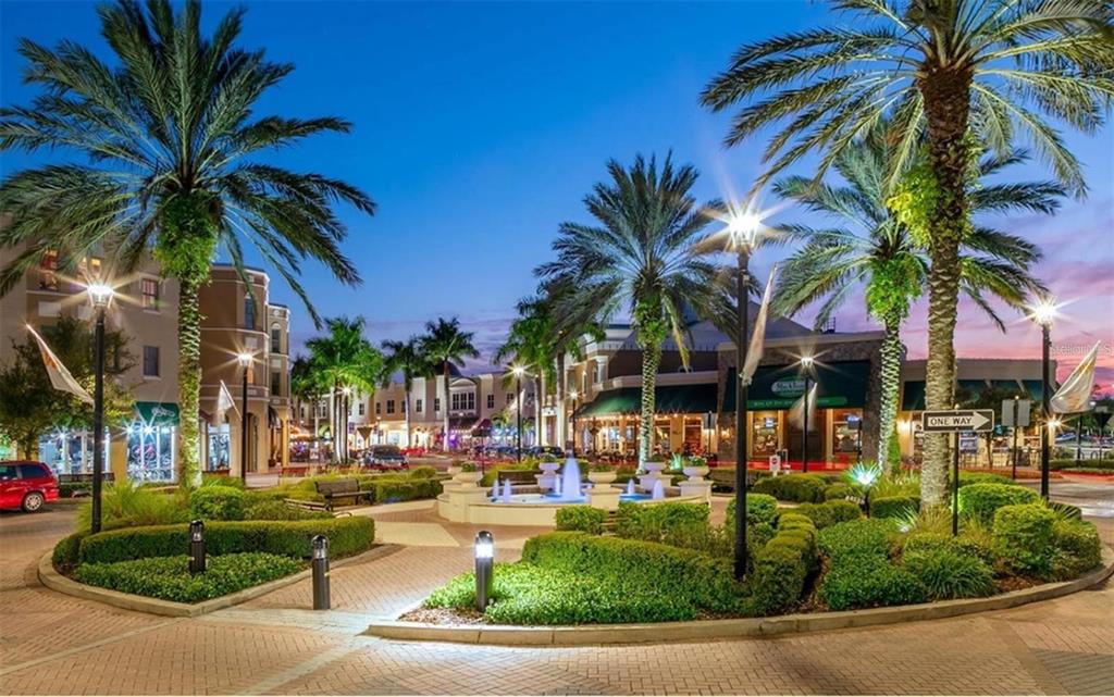 5822 Brandon Run Bradenton, FL 34211 - Photo 34 of 34 a view of multiple houses with palm trees