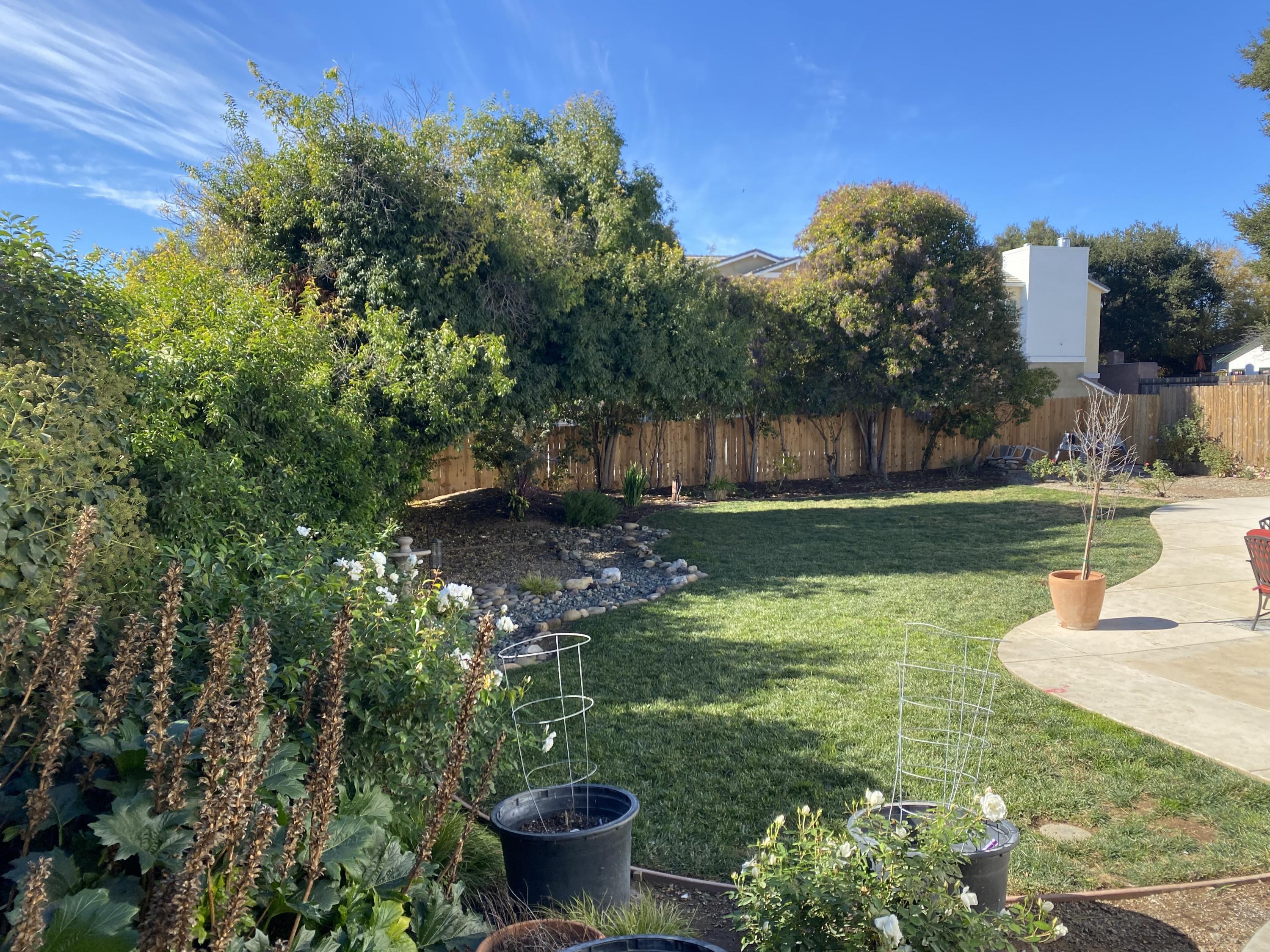 575 Pine Street Solvang, CA 93463 - Photo 18 of 22 a view of a garden with an outdoor seating