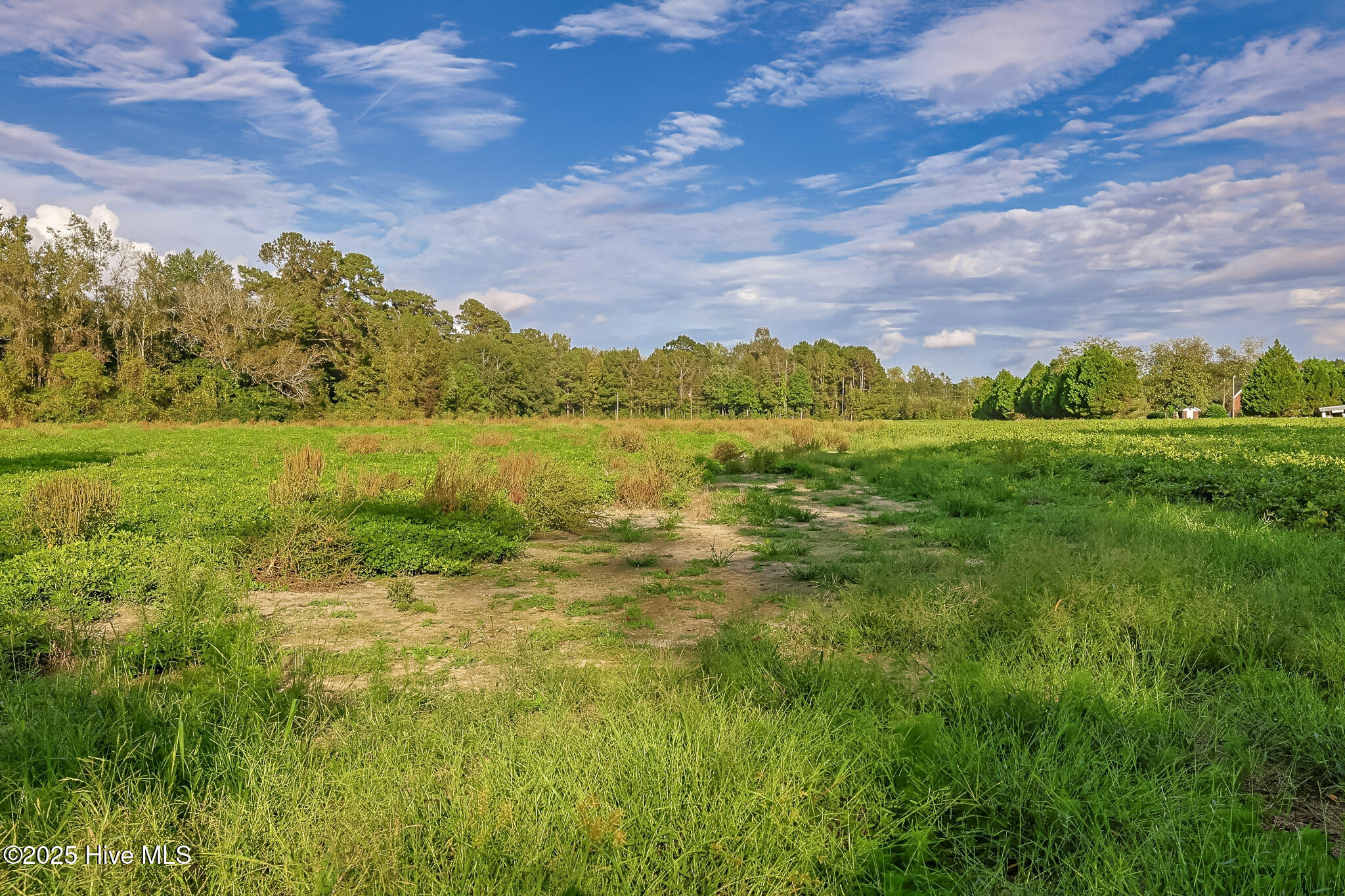 2-515 Porter Swamp Road Cerro Gordo, NC 28430 - Photo 6 of 12 05