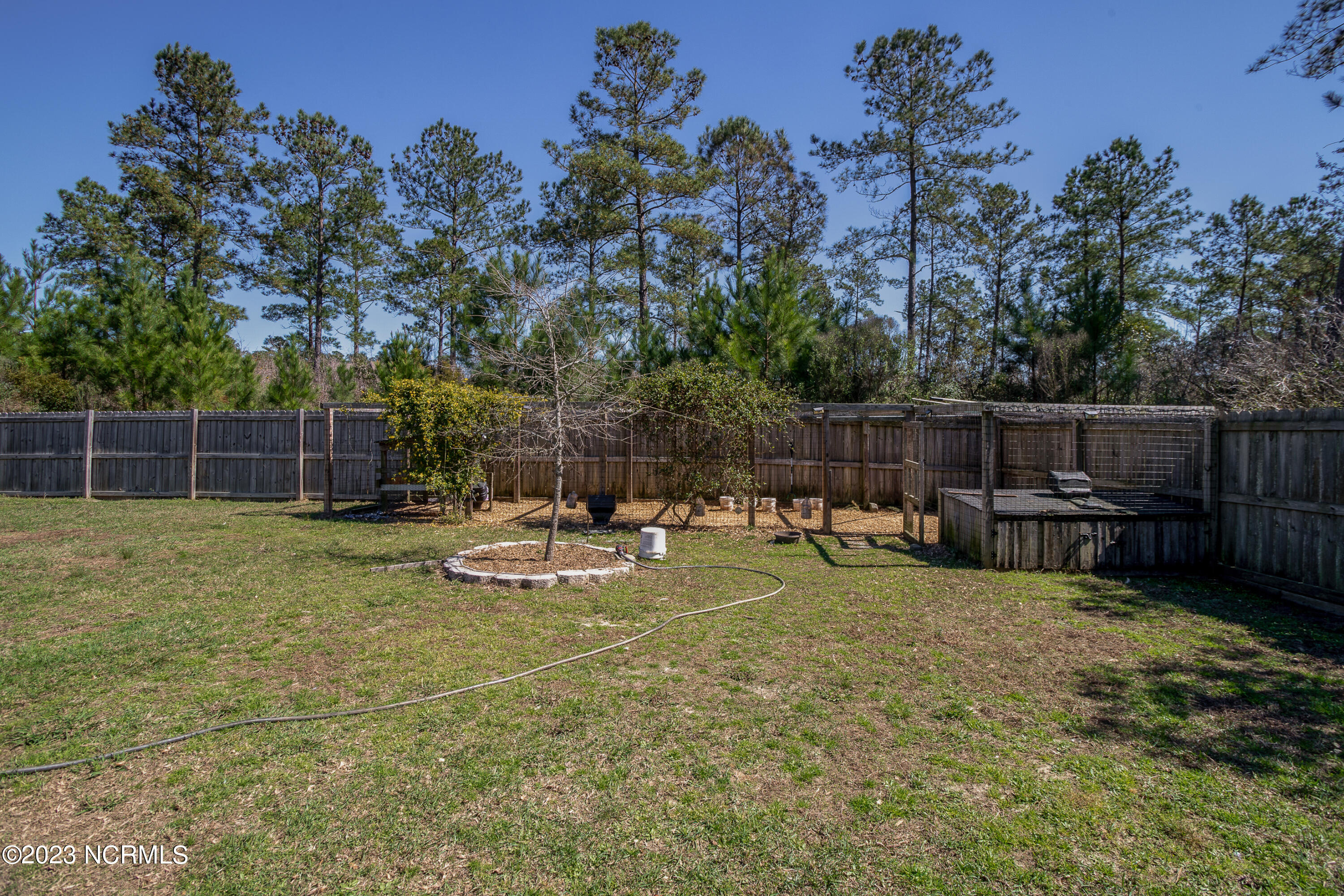 161 Peytons Ridge Drive Hubert, NC 28539 - Photo 36 of 42 45REAR