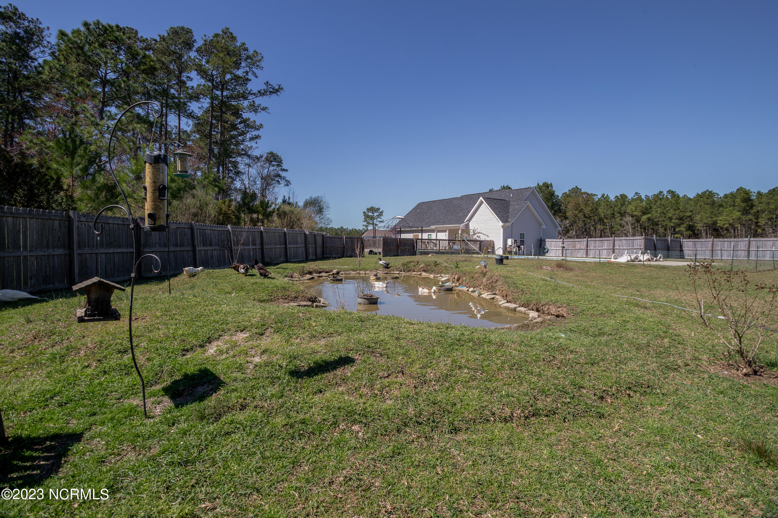 161 Peytons Ridge Drive Hubert, NC 28539 - Photo 39 of 42 46REAR