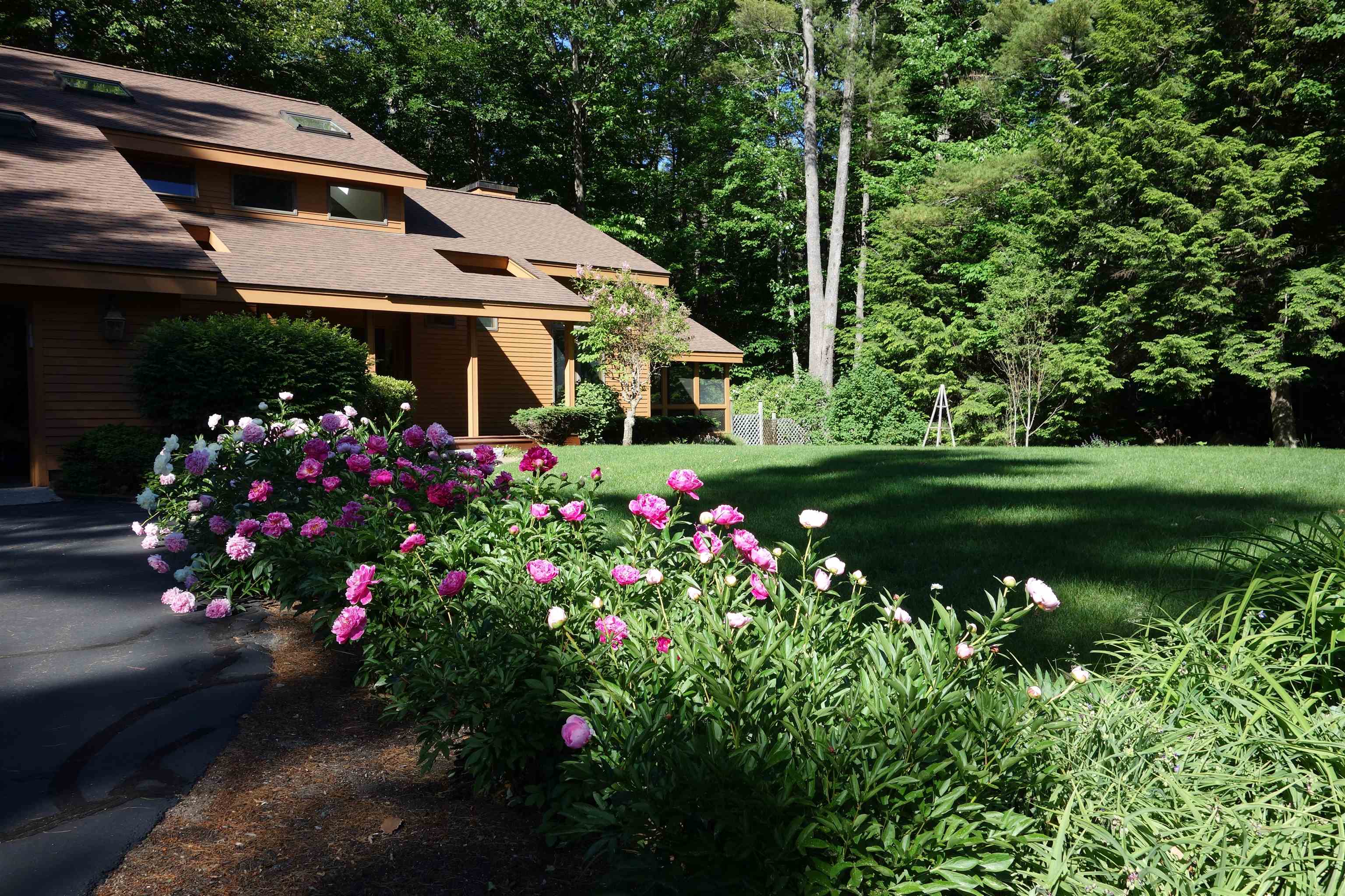 17 Forest Ring Drive Intervale, NH 03845 - Photo 34 of 39