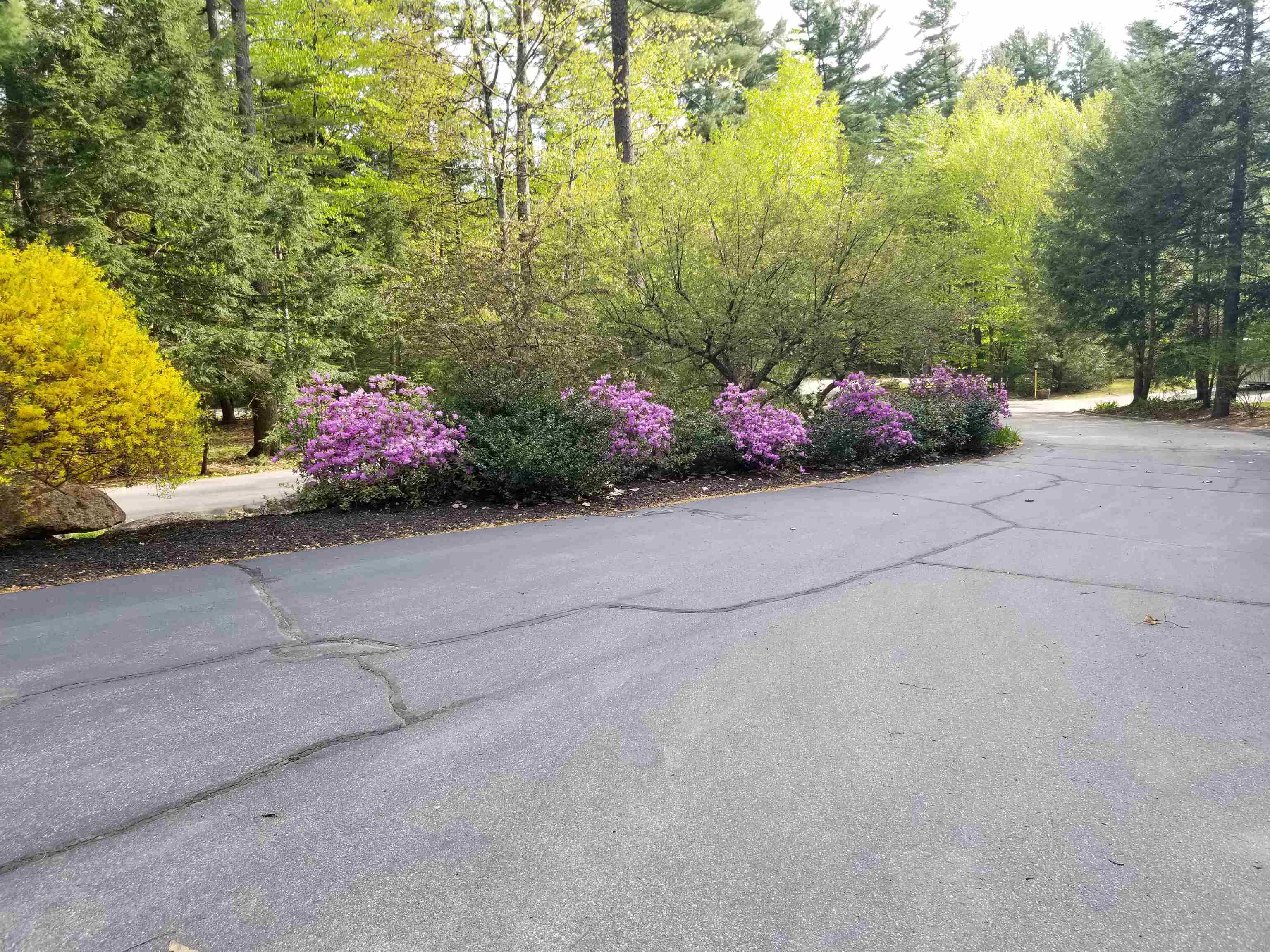 17 Forest Ring Drive Intervale, NH 03845 - Photo 35 of 39