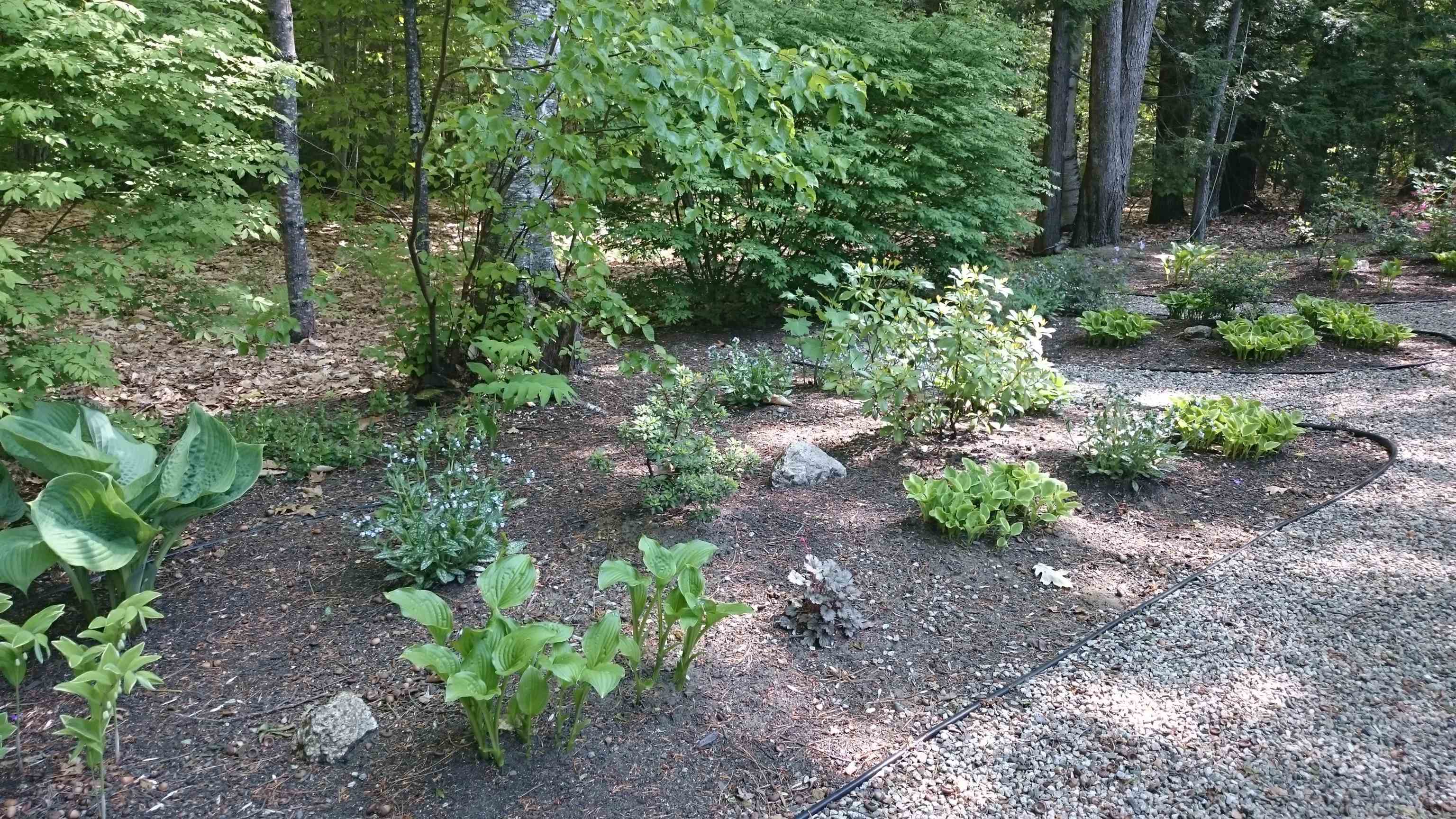 17 Forest Ring Drive Intervale, NH 03845 - Photo 36 of 39